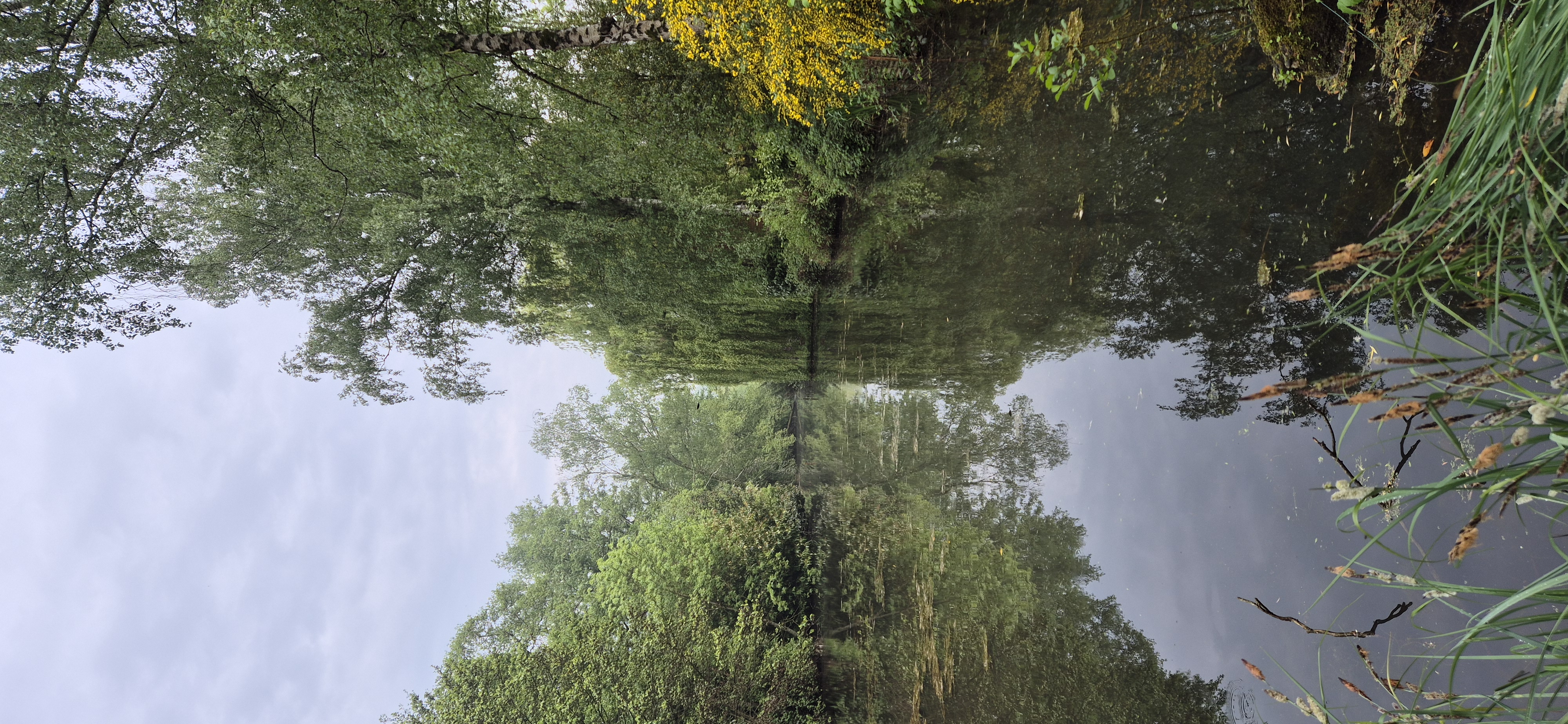 Außergewöhnliches Baumhaus direkt am Wasser