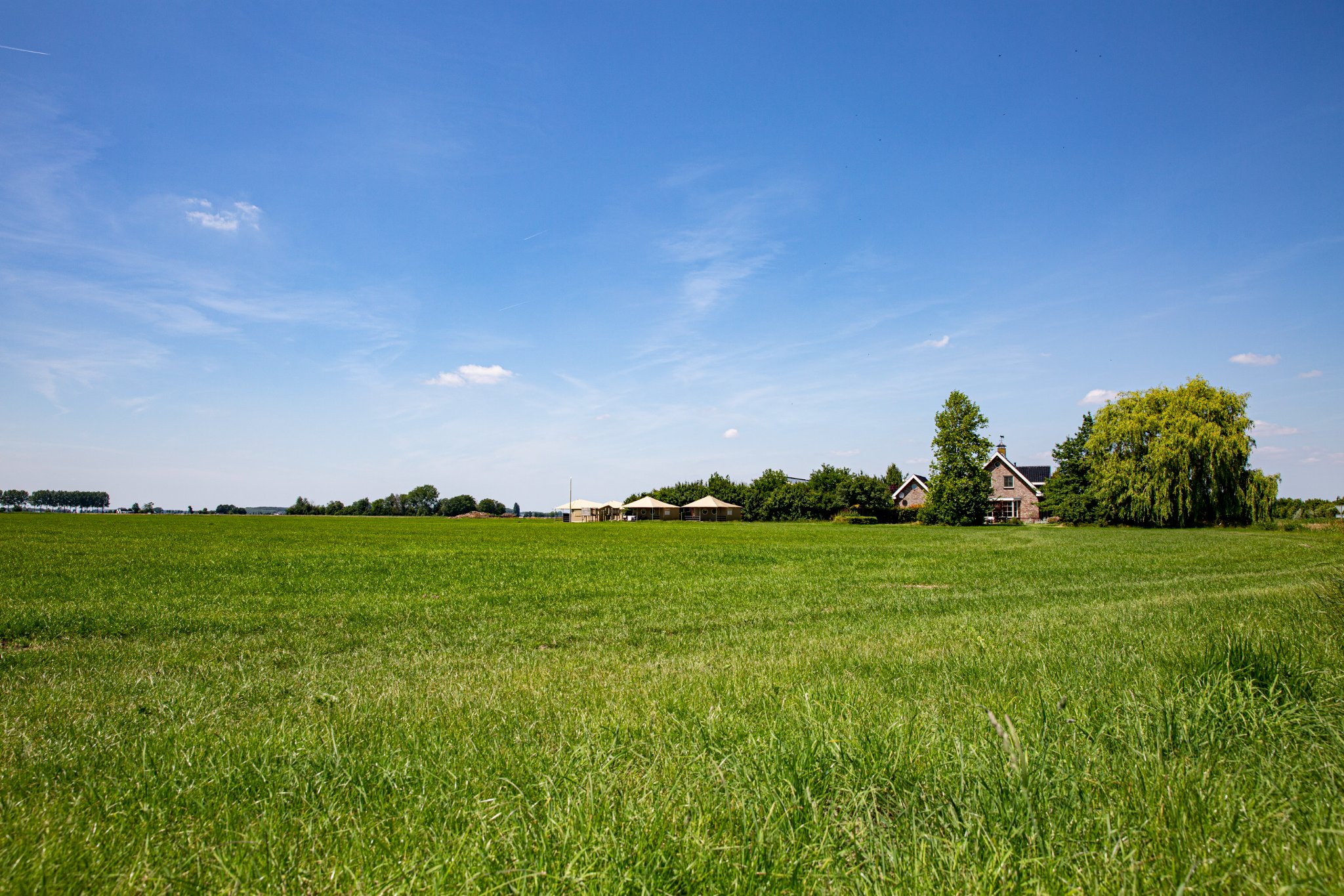 Luxe glamping lodge (4p) op boerencamping