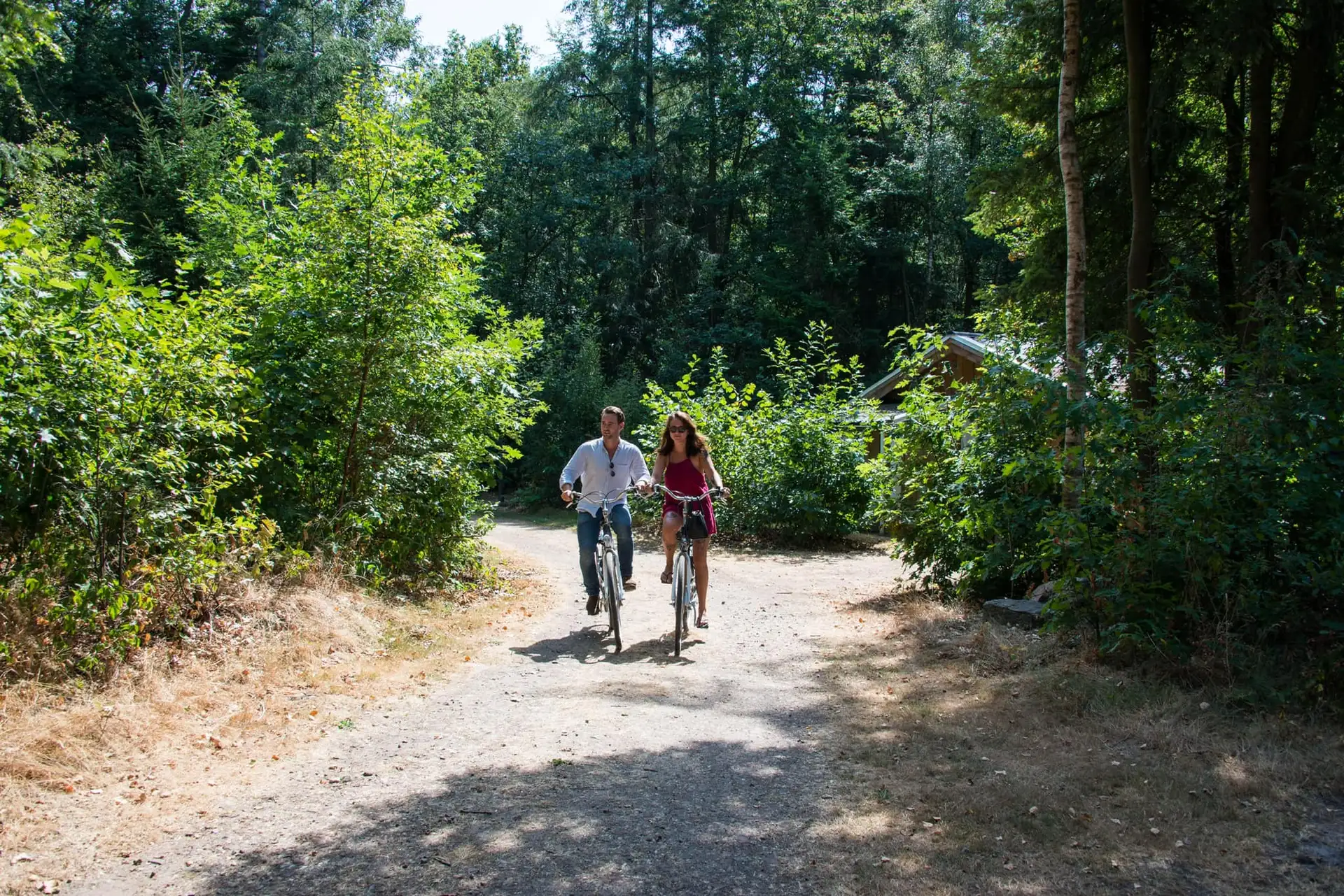 Luxuriöse Ferienwohnung für 6 Personen in Drenthe