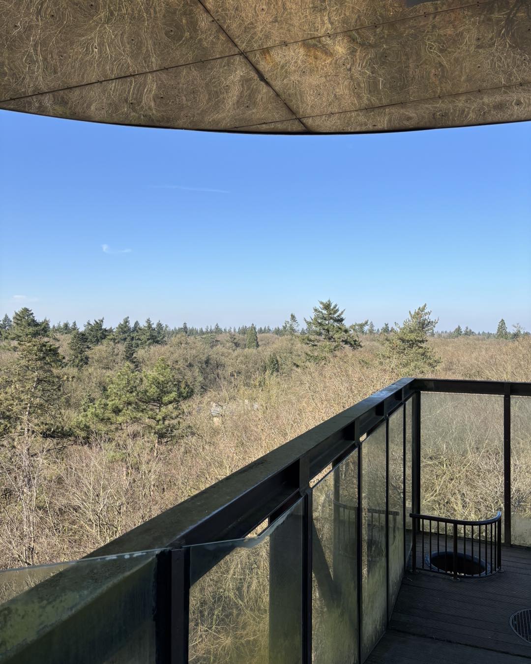 Ferienwohnung im kinderfreundlichen Park