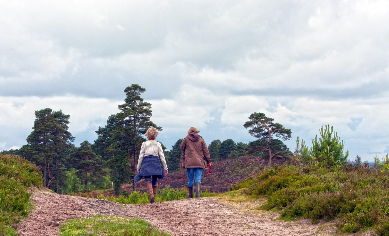 Group accommodation in Drenthe nature reserve