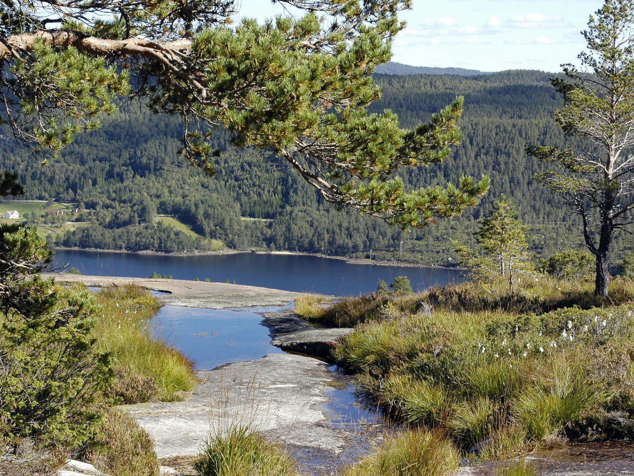 Lake view holiday home