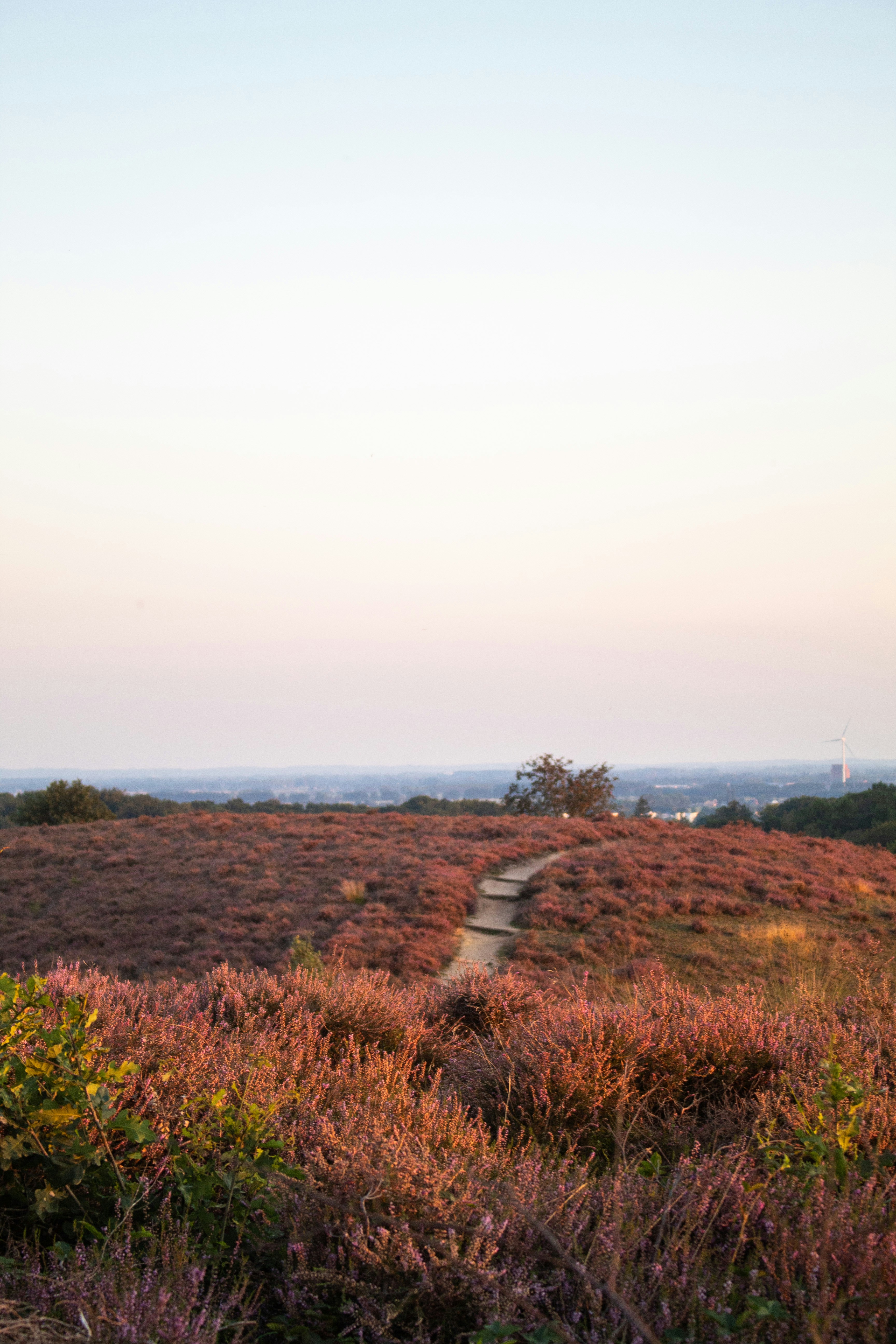 Relax with hot tub and sauna on the Veluwe (8p)