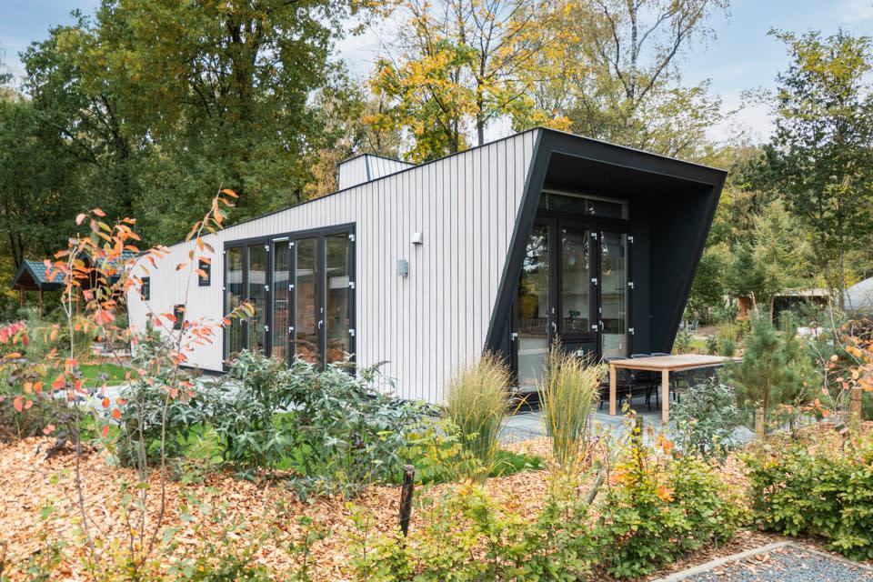 Pet-friendly lodge (4p) on the Veluwe