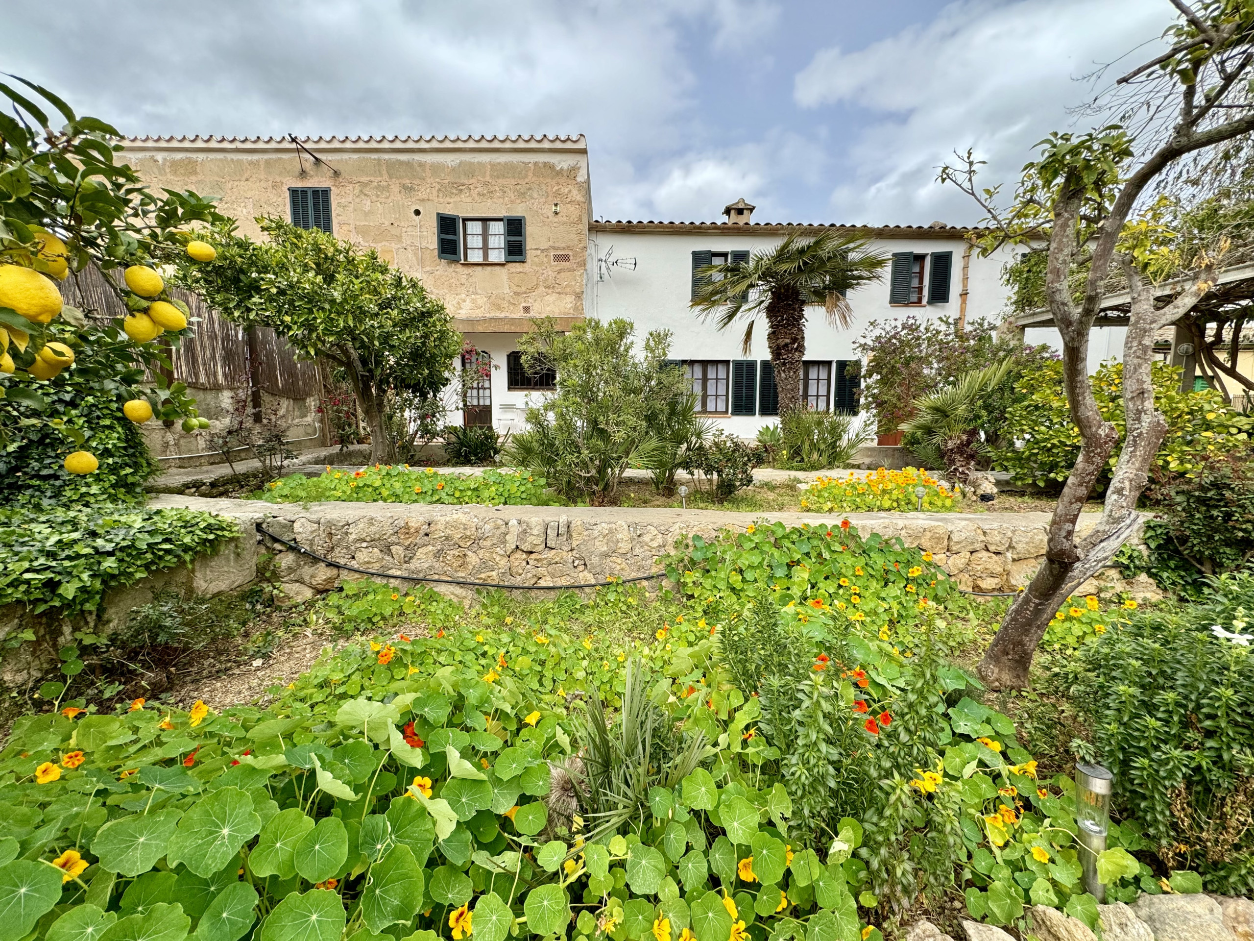 Holiday home in Pollensa