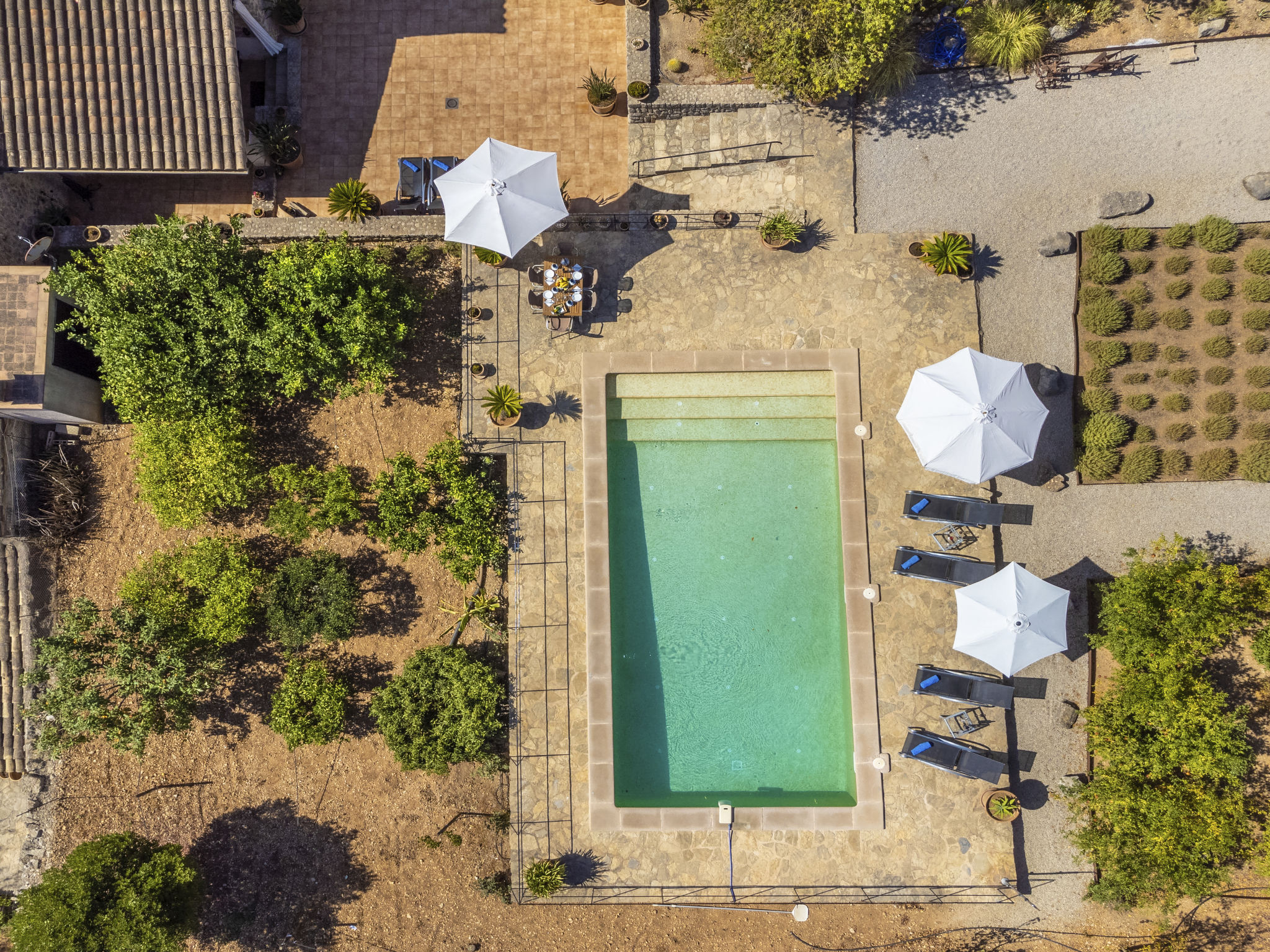 Ferienhaus mit Pool auf Mallorca