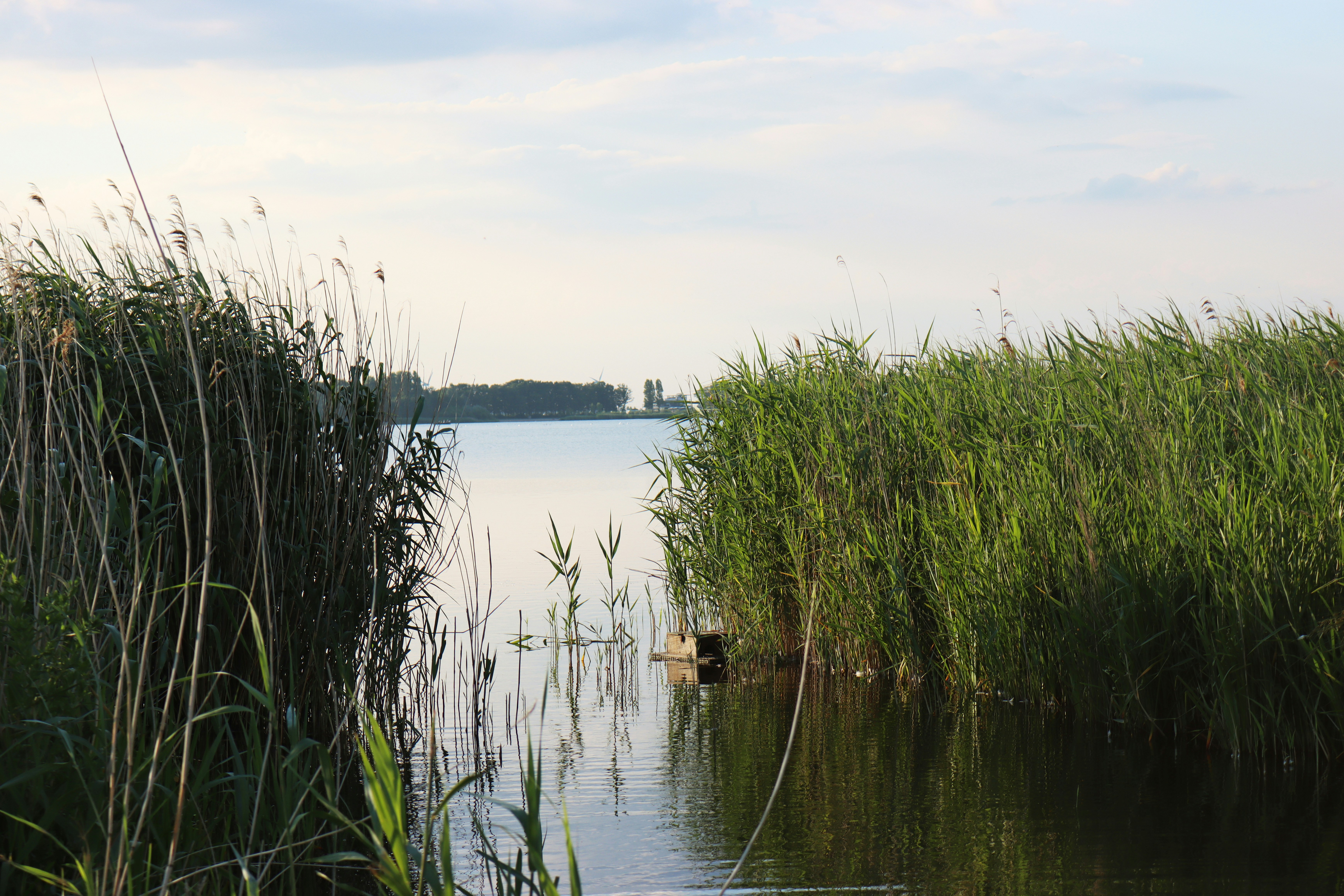 Relax with hot tub and sauna on the Veluwe (8p)