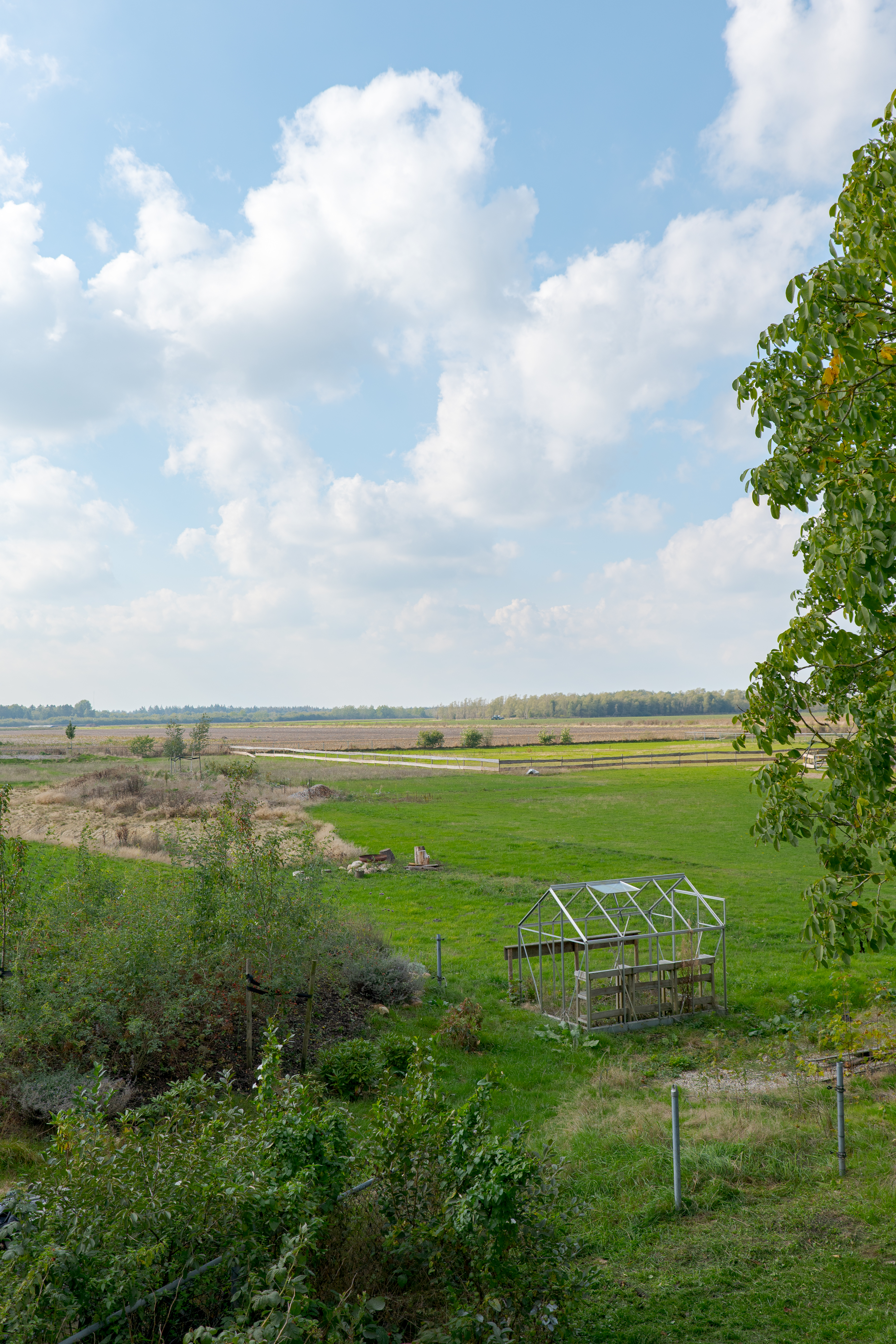 Overnachten met uitzicht over Drentse bossen
