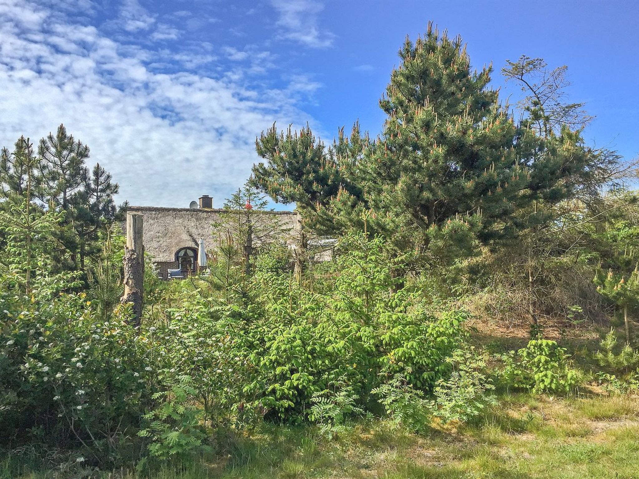 Vakantiehuis met privéterras in de natuur