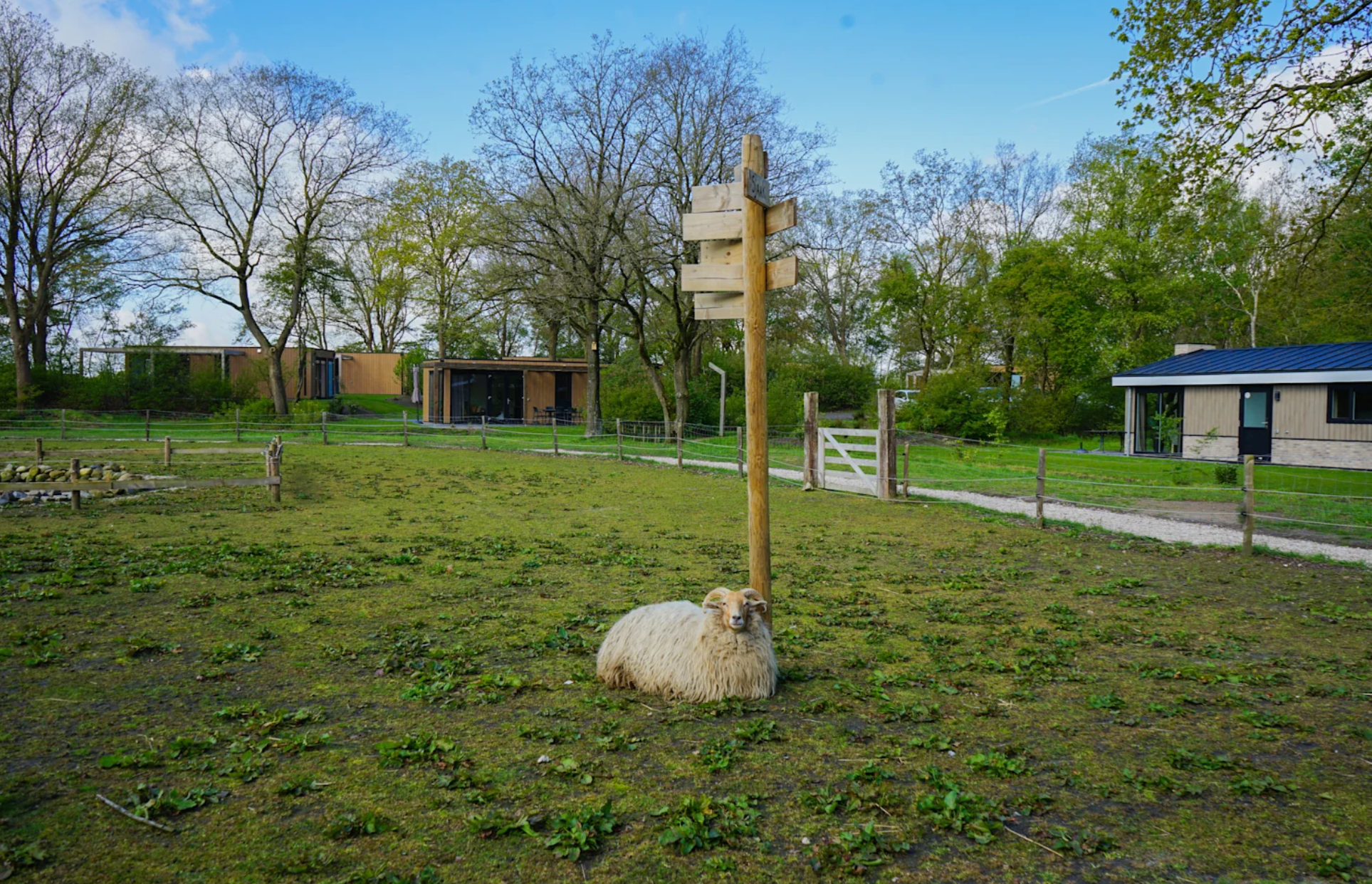 Sfeervolle vakantiewoning (4p) in Drenthe