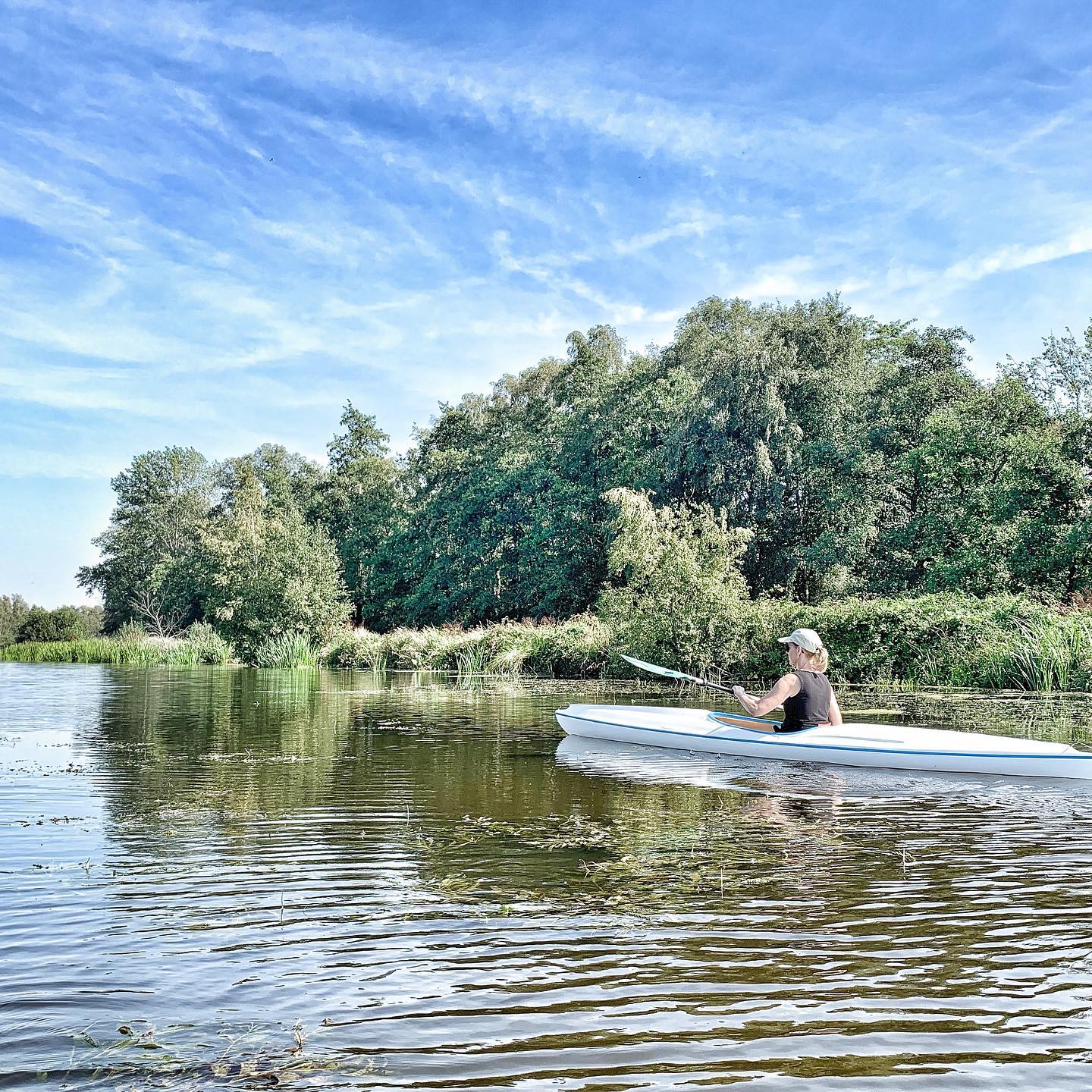 Holiday home on a watery park in Friesland