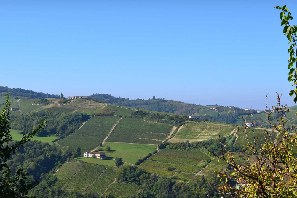 Holiday home with a view of vineyards