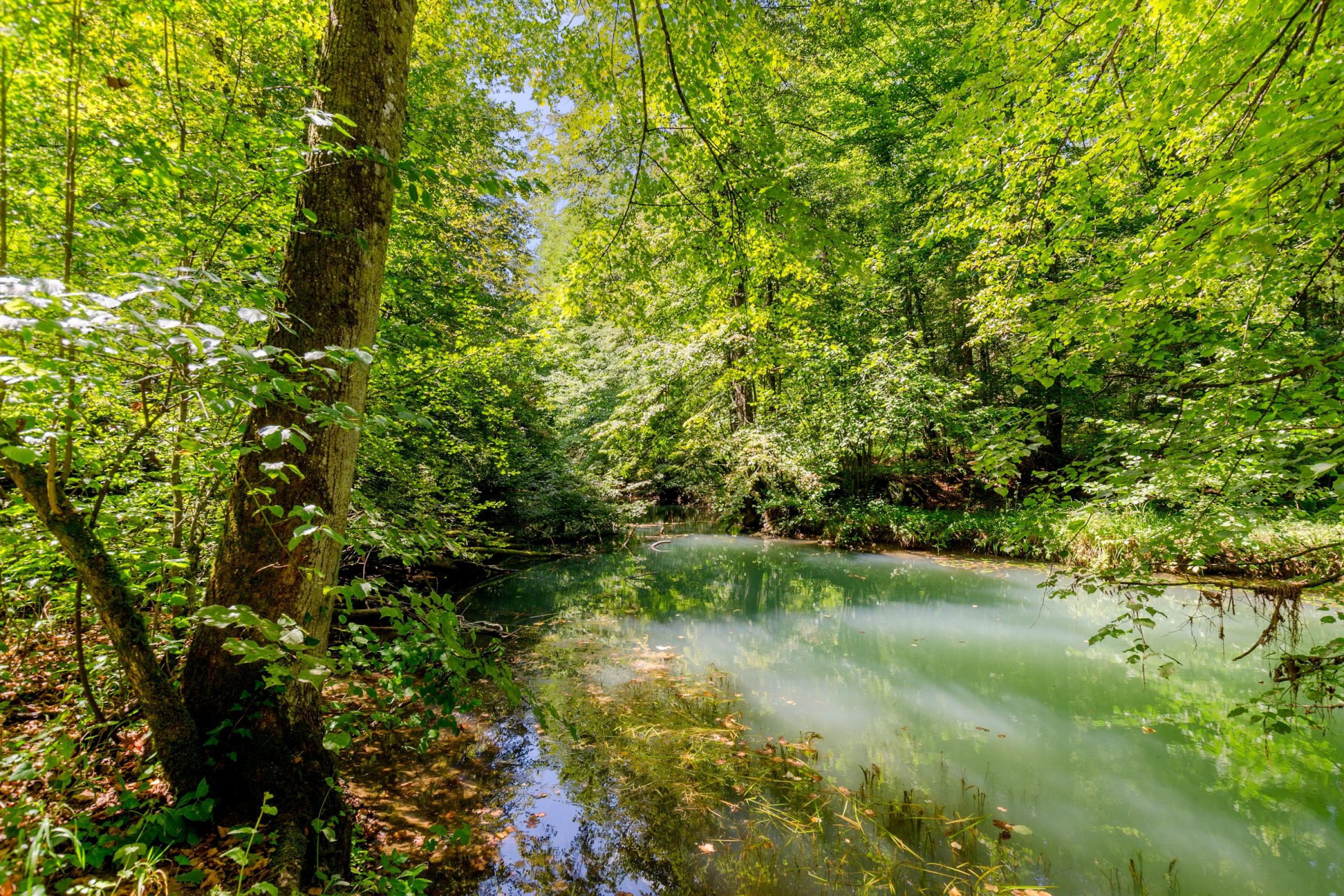 Logement de vacances rustique à Gradac