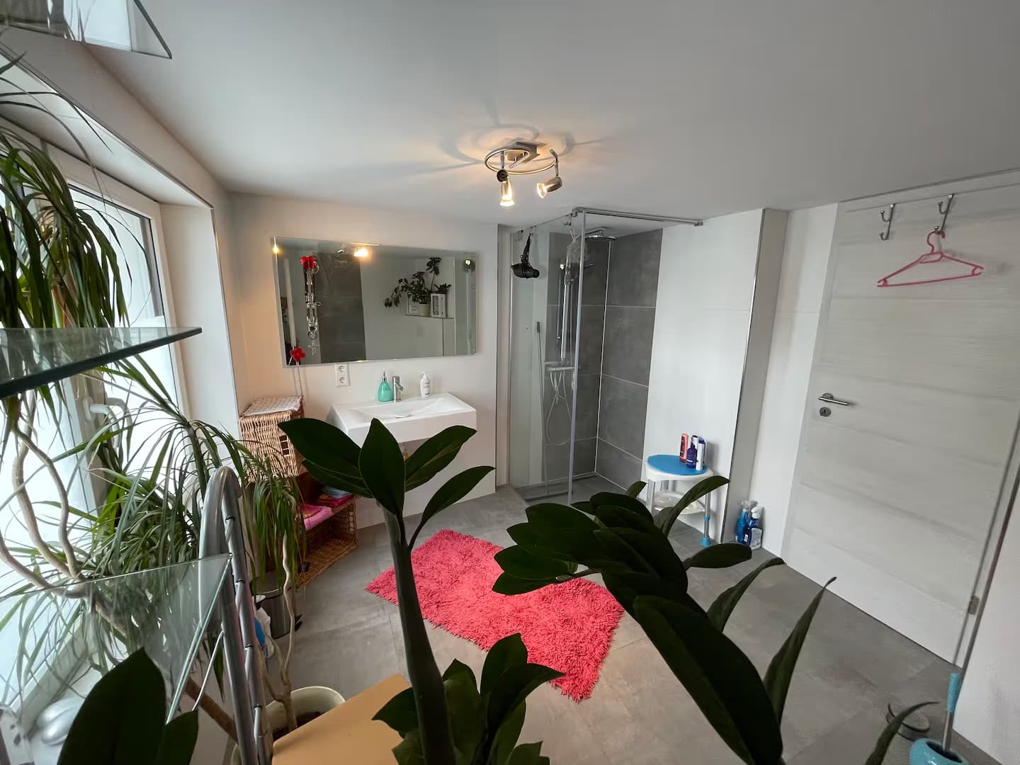Luxury apartment in Sauerland