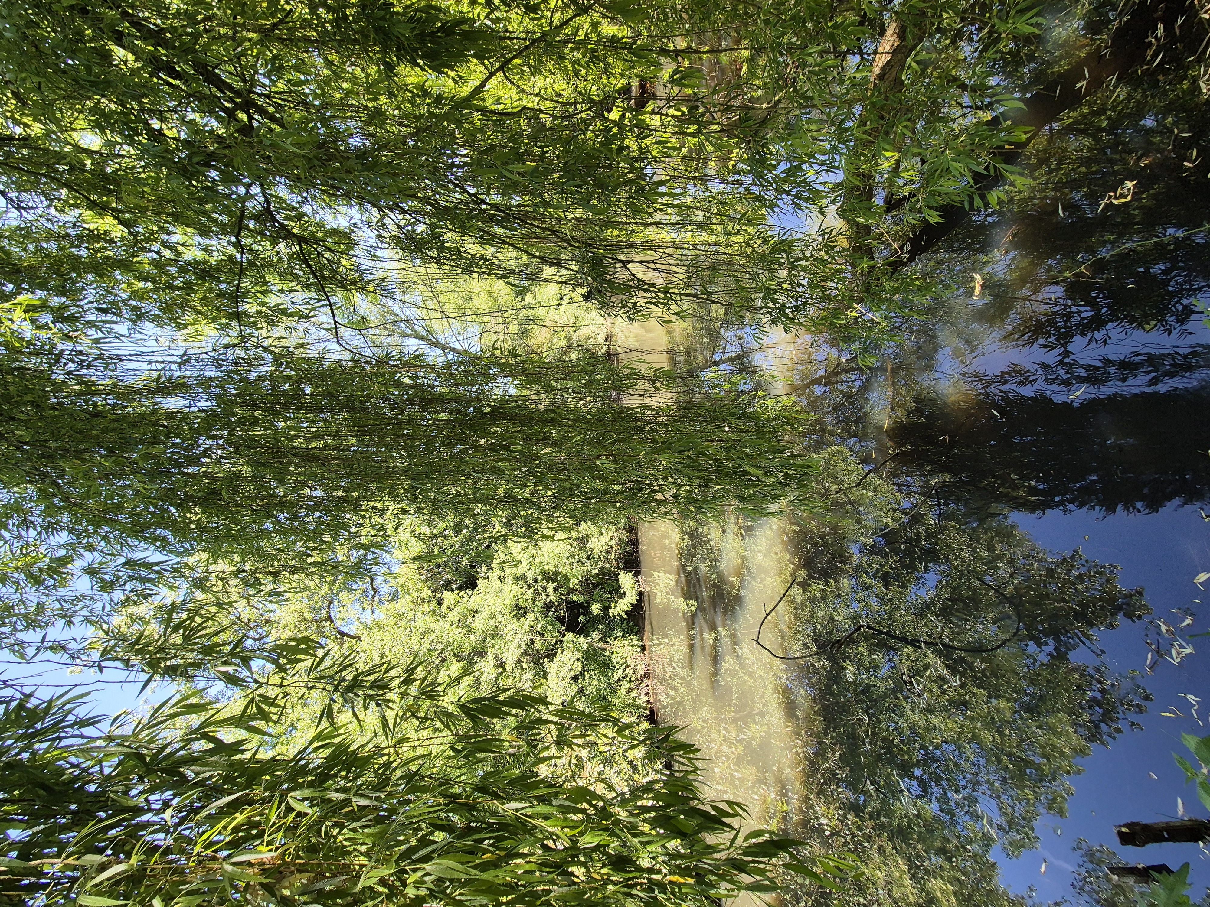 Außergewöhnliches Baumhaus direkt am Wasser