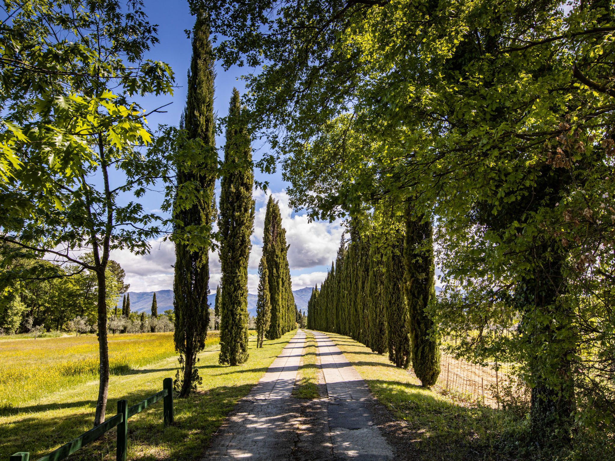 Grande villa de groupe près de Florence