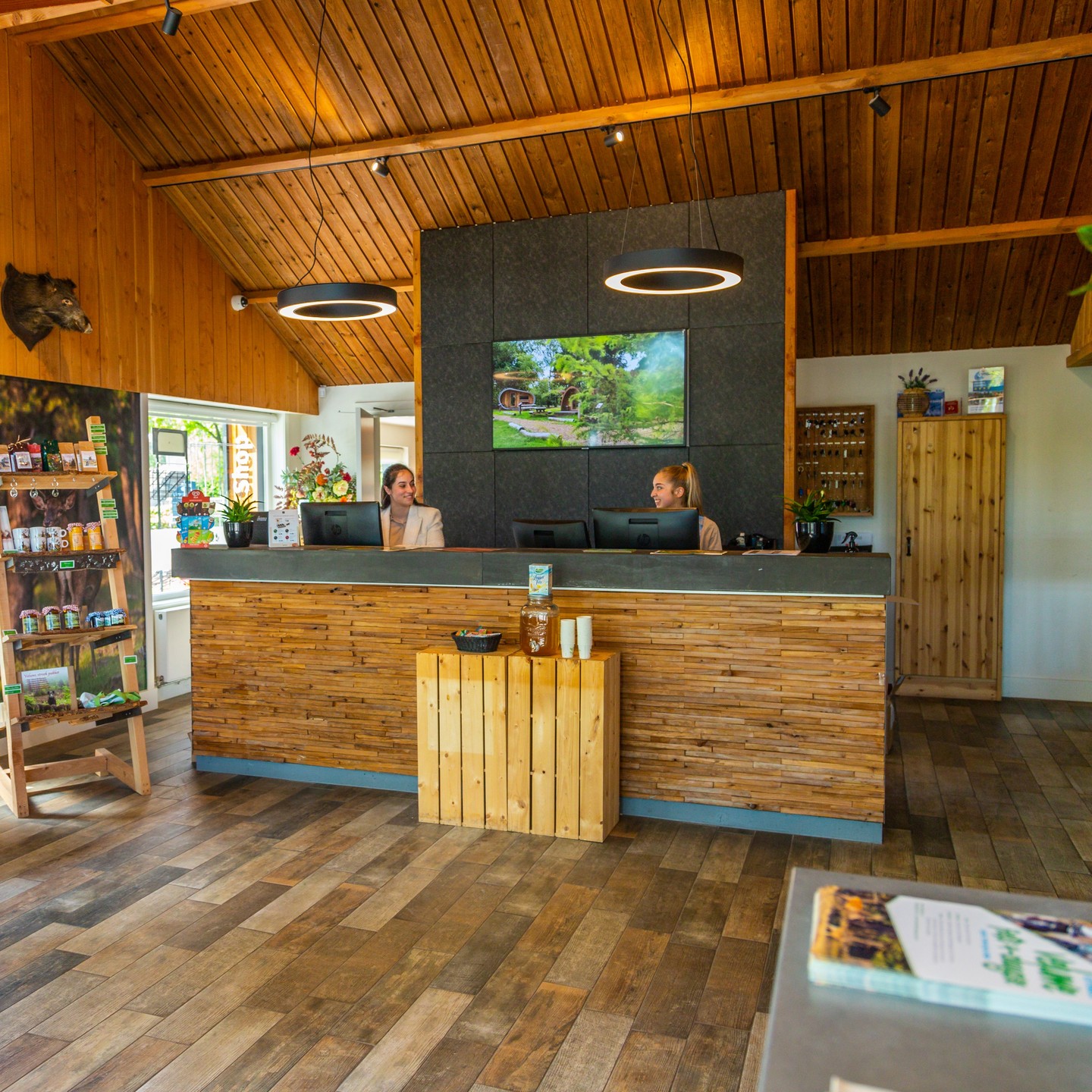 Pet-friendly lodge (4p) on the Veluwe