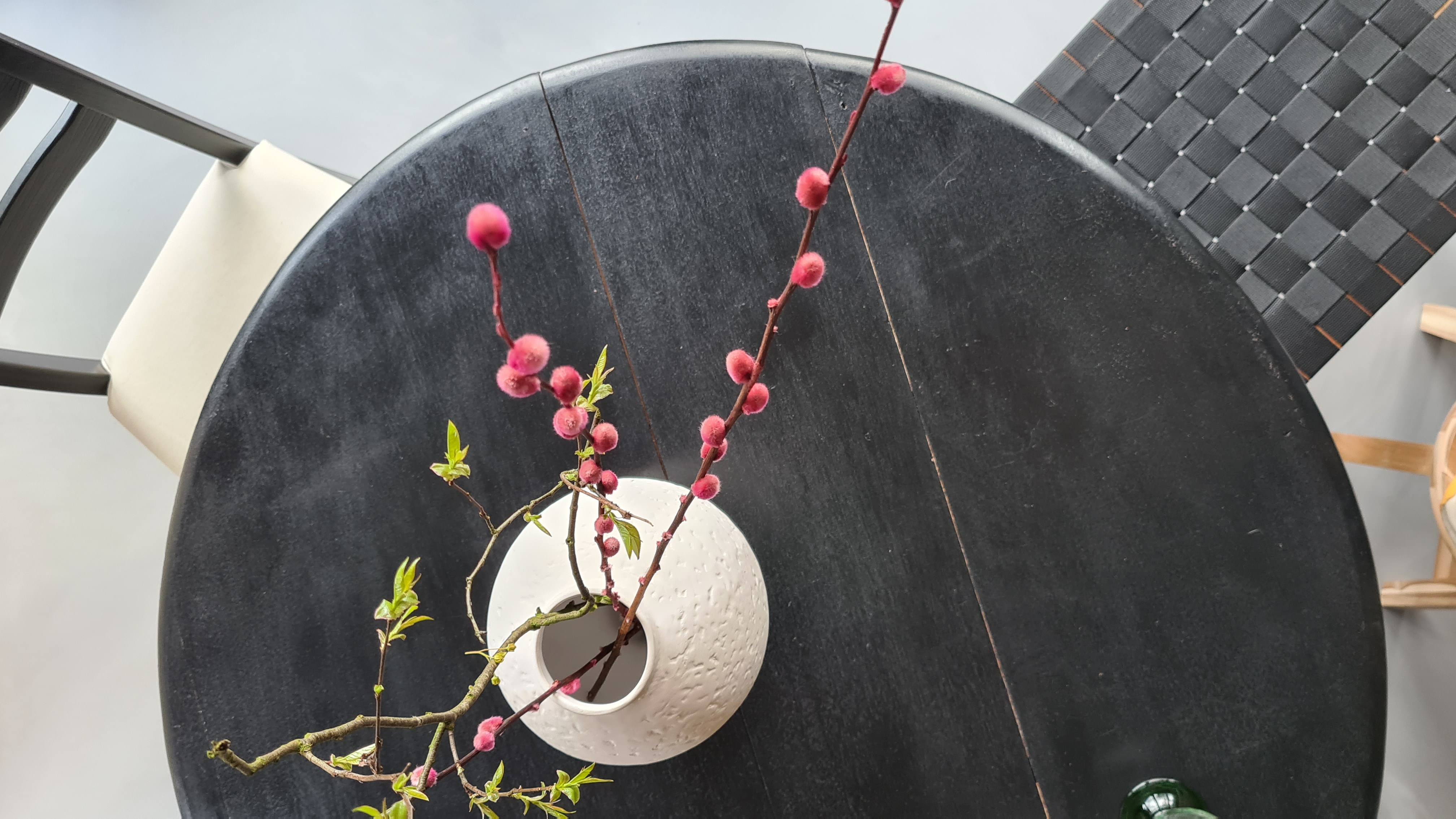 Heerlijk Tiny House aan de bosrand