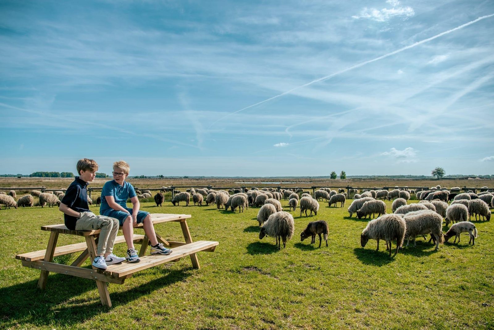 Uniek gelegen groepsaccommodatie in Drenthe