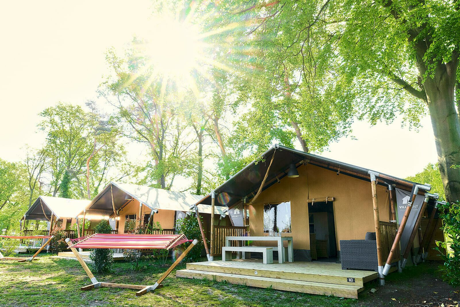 Glamping (max. 6 people) on the Veluwe