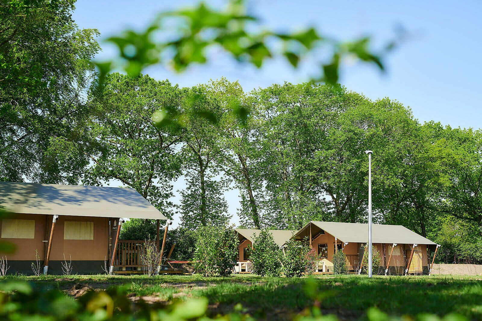 Glamping (max. 6 people) on the Veluwe