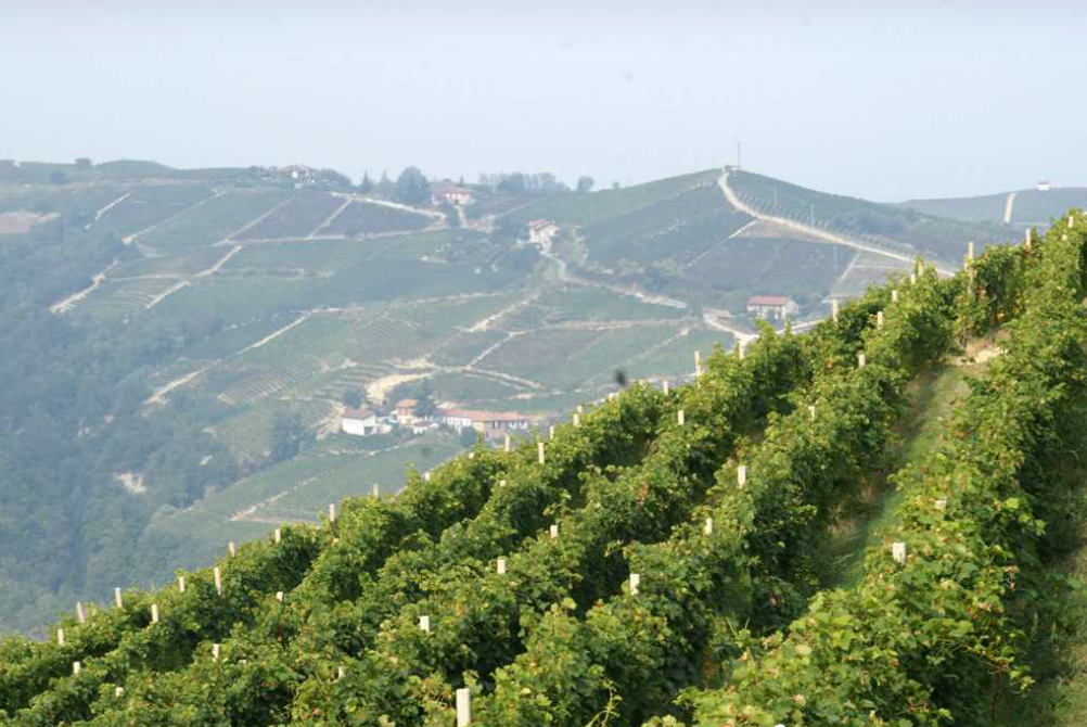 Holiday home with a view of vineyards