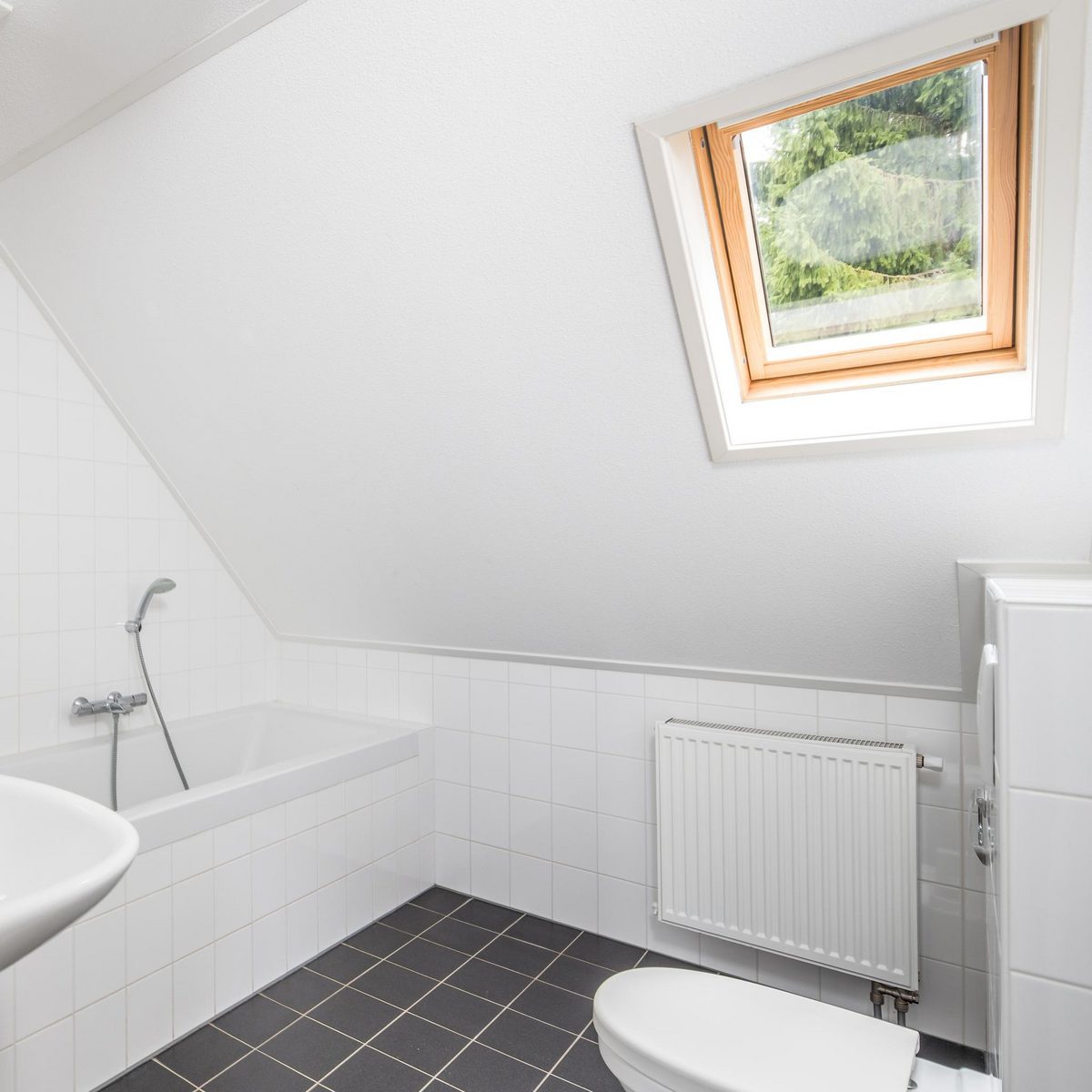 Group accommodation in Drenthe nature reserve