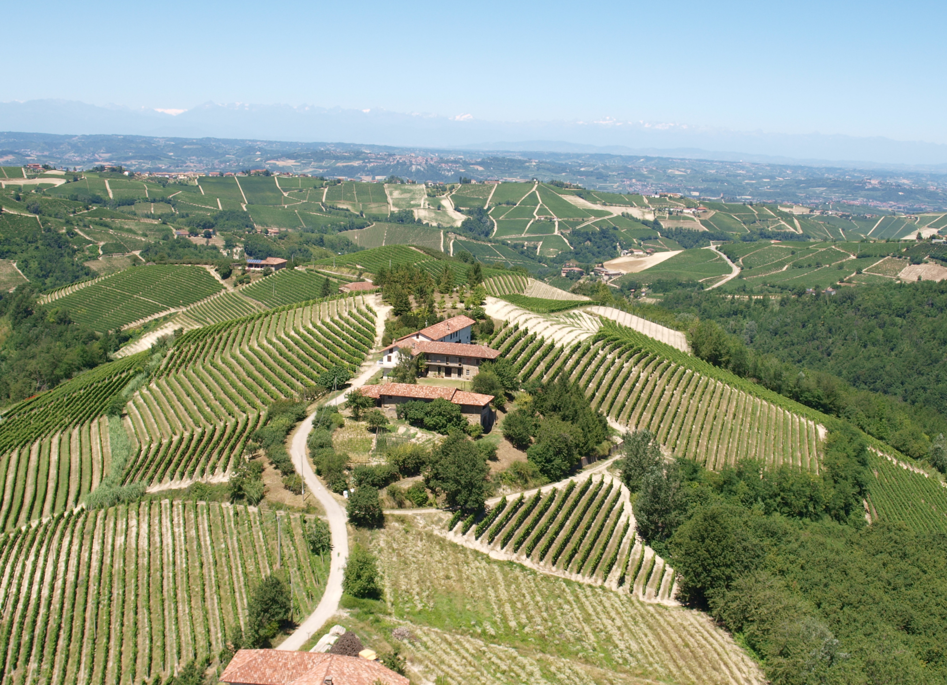 Holiday home with a view of vineyards