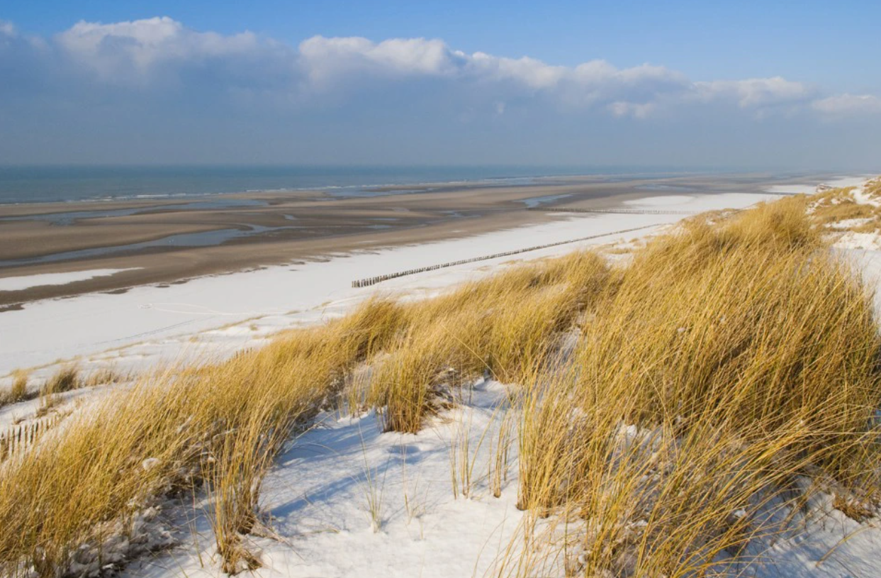 Vakantiehuis op mooi park vlakbij zee