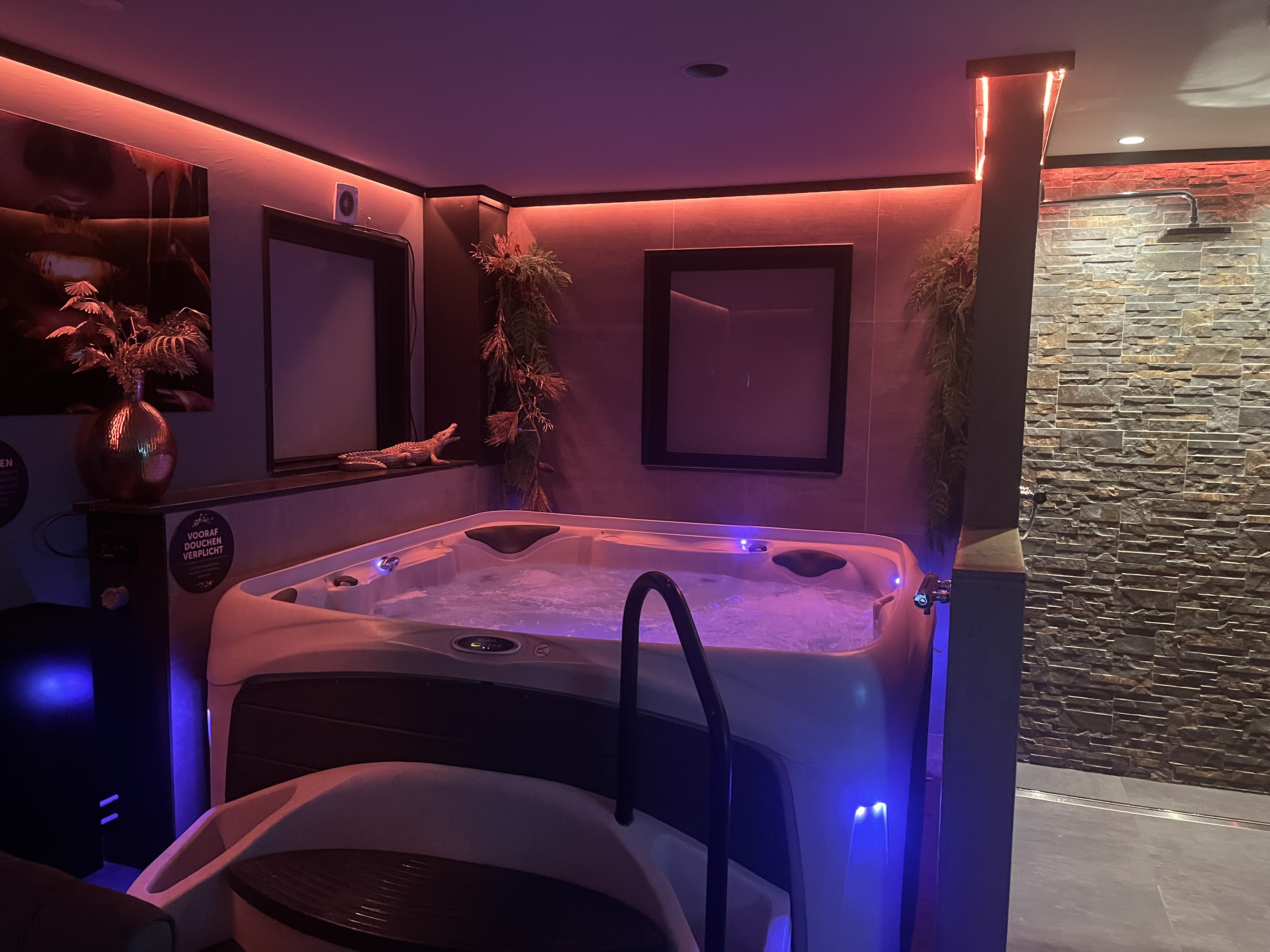 Wellness accommodatie met sauna en jacuzzi in Berg en Dal, image size:4032x3024