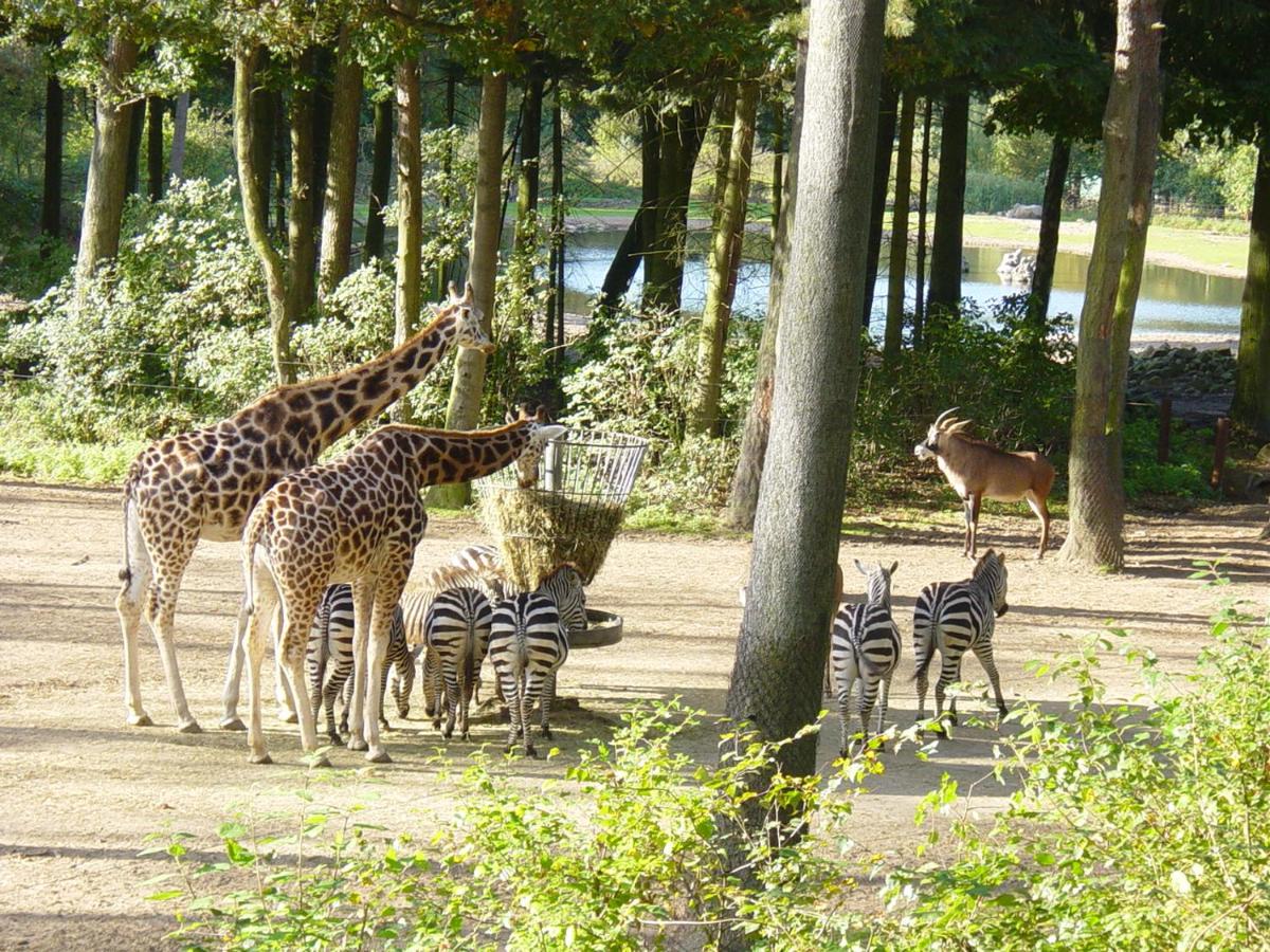 Moderne vakantiewoning vlakbij natuurpark