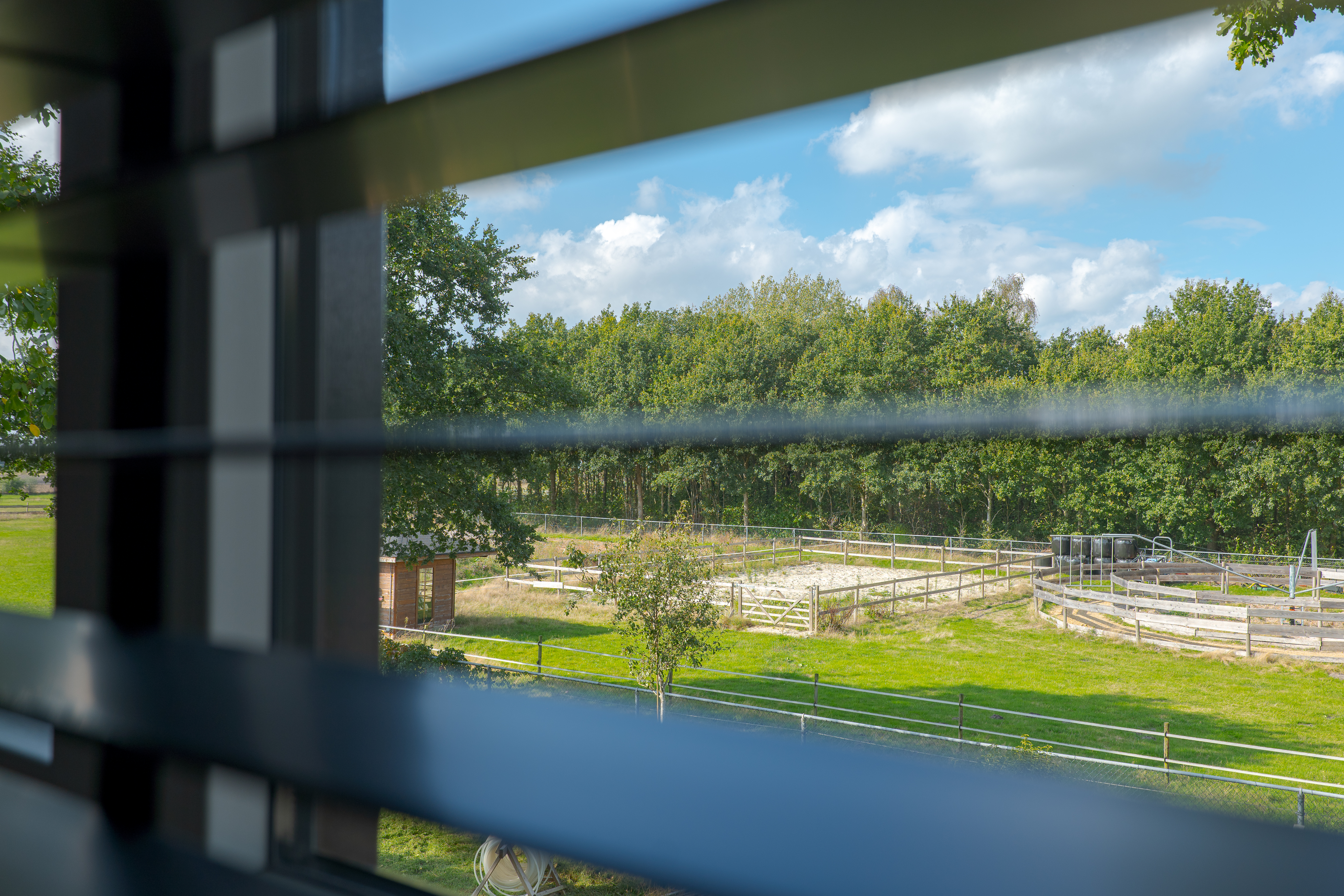 Overnachten met uitzicht over Drentse bossen