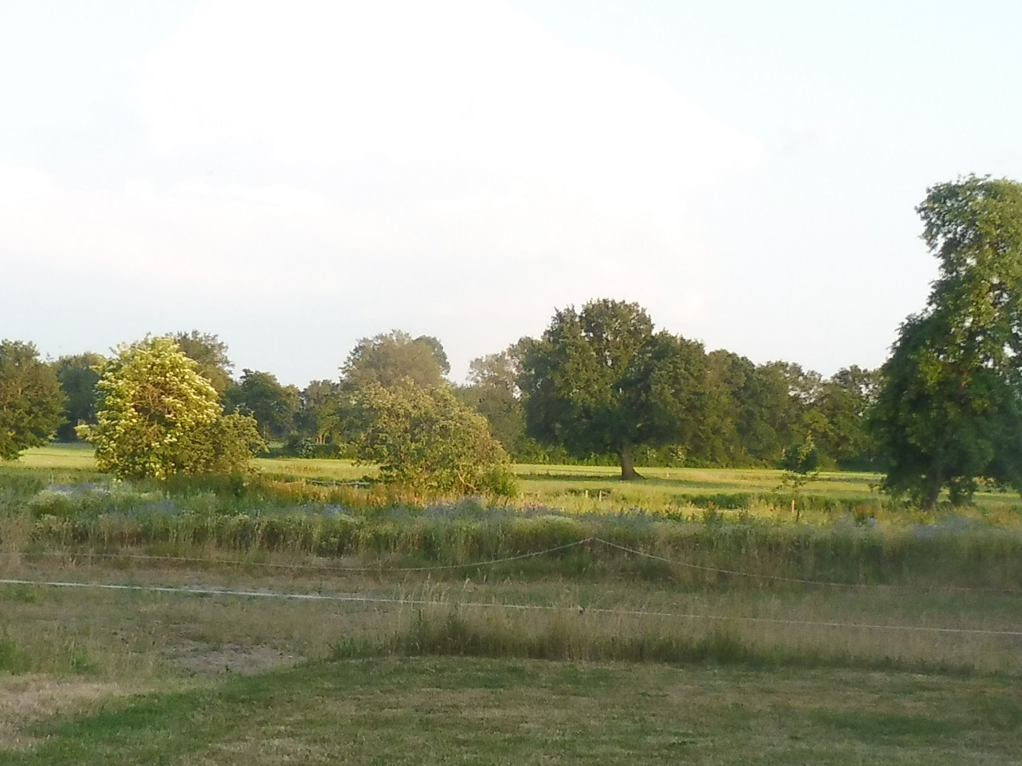 Prachtige cottage in Duitsland