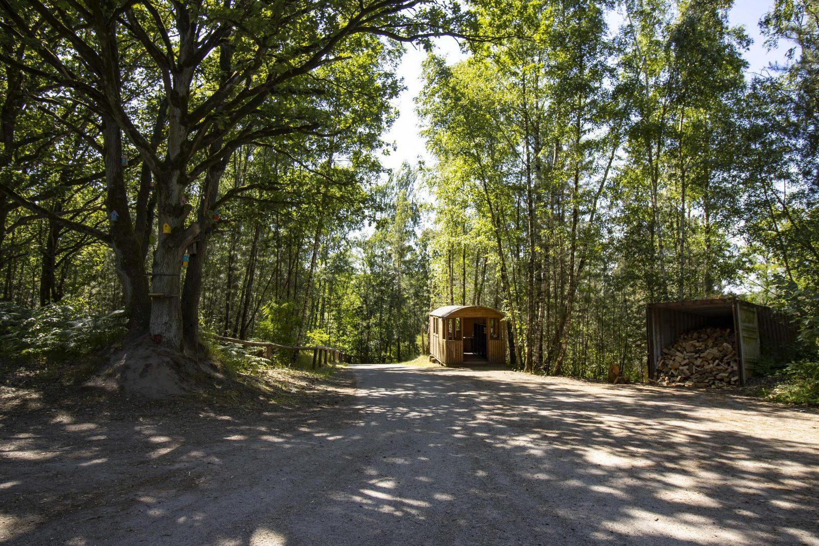Einzigartige Waldhütte mit privatem Whirlpool