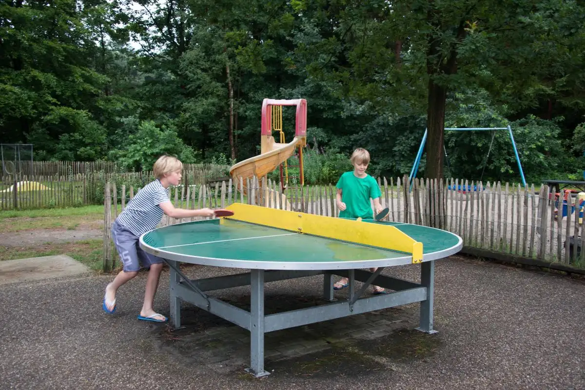 Luxuriöse Ferienwohnung für 6 Personen in Drenthe