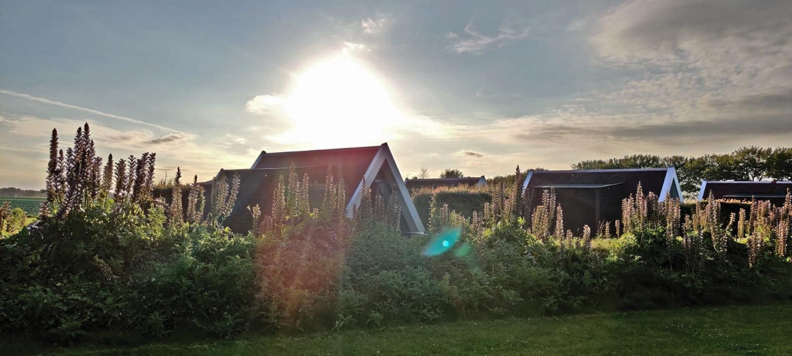 Tiny house in rural setting