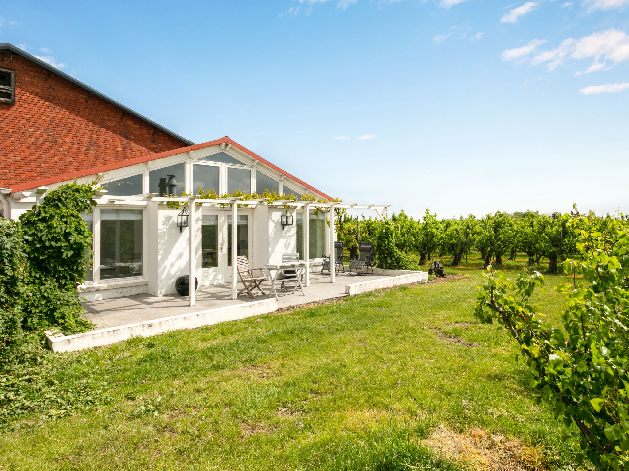 Gîte (2p) dans un vignoble