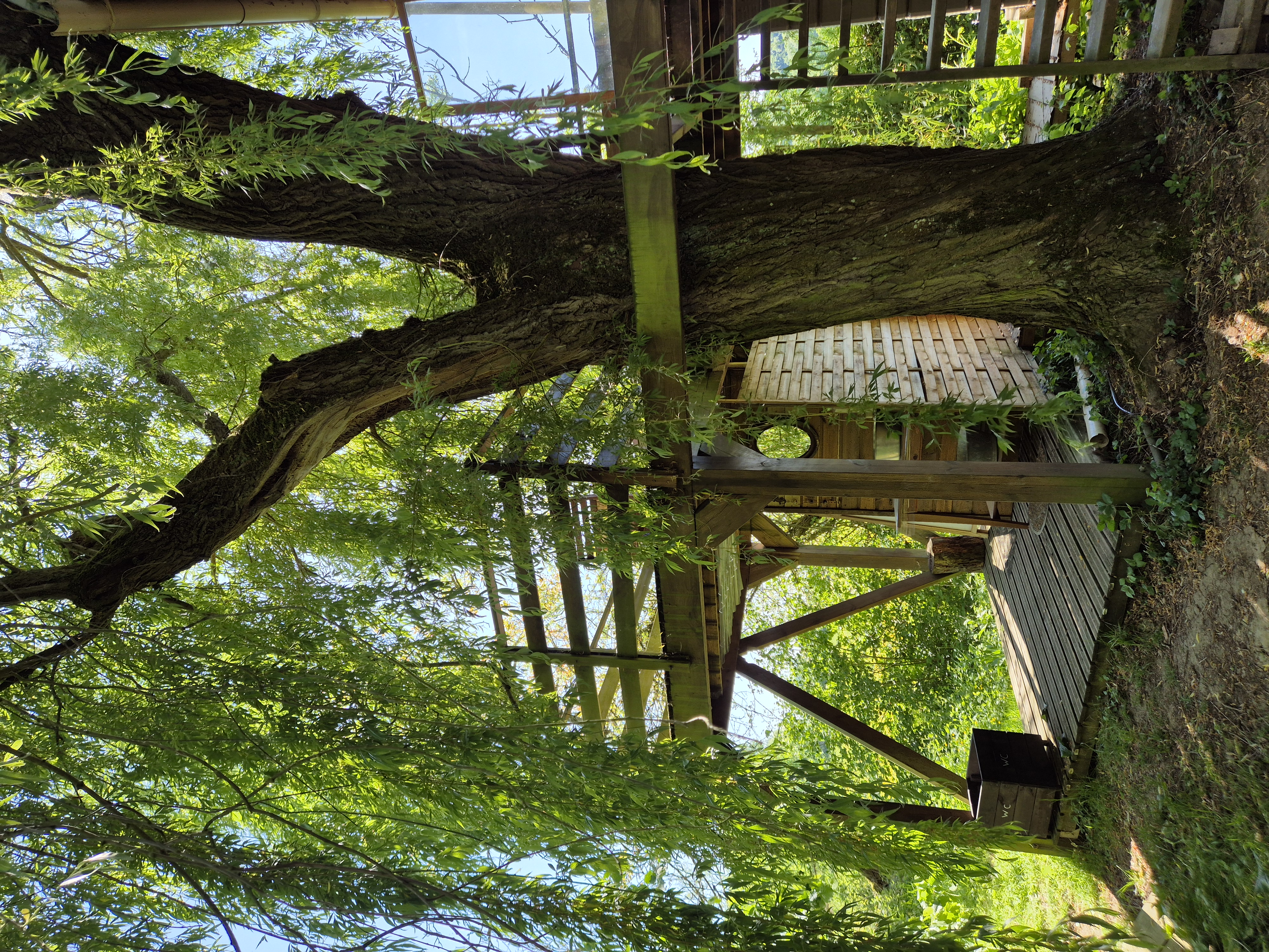 Außergewöhnliches Baumhaus direkt am Wasser