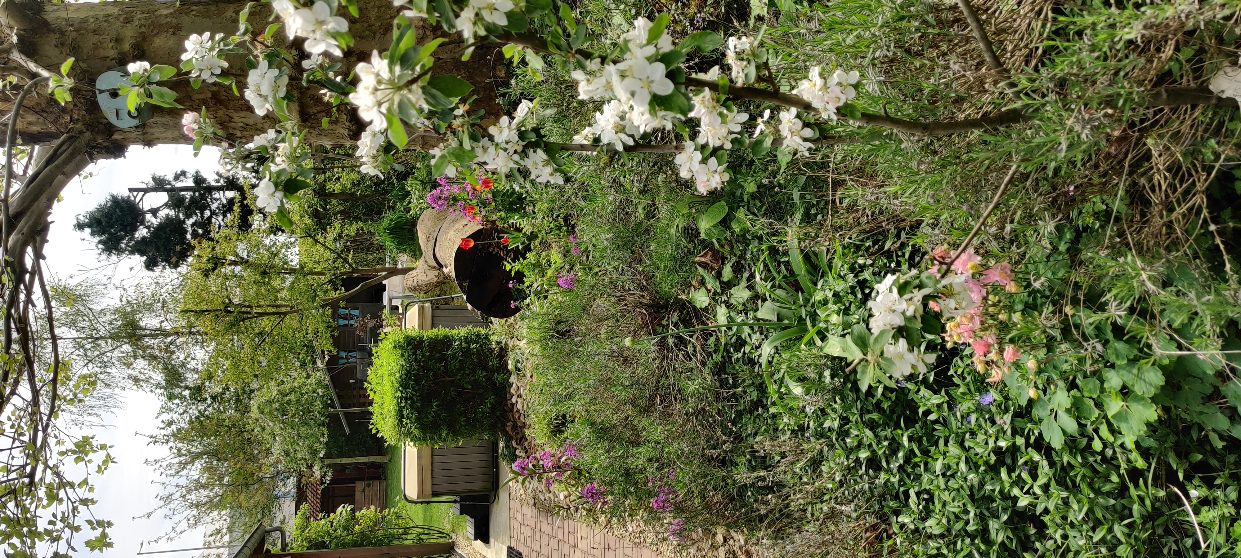 Nachhaltige Wellness im Paradiesgarten