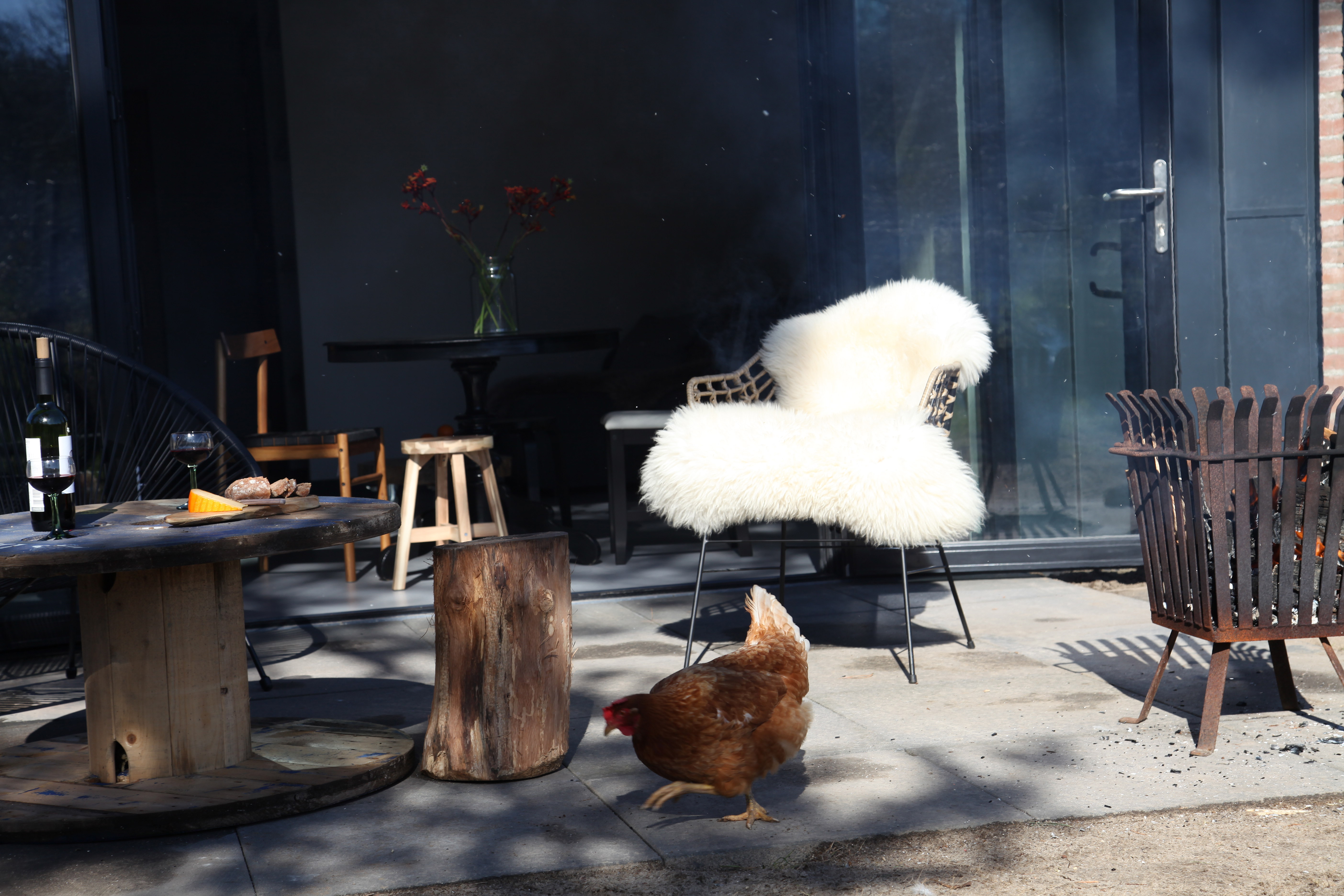 Heerlijk Tiny House aan de bosrand