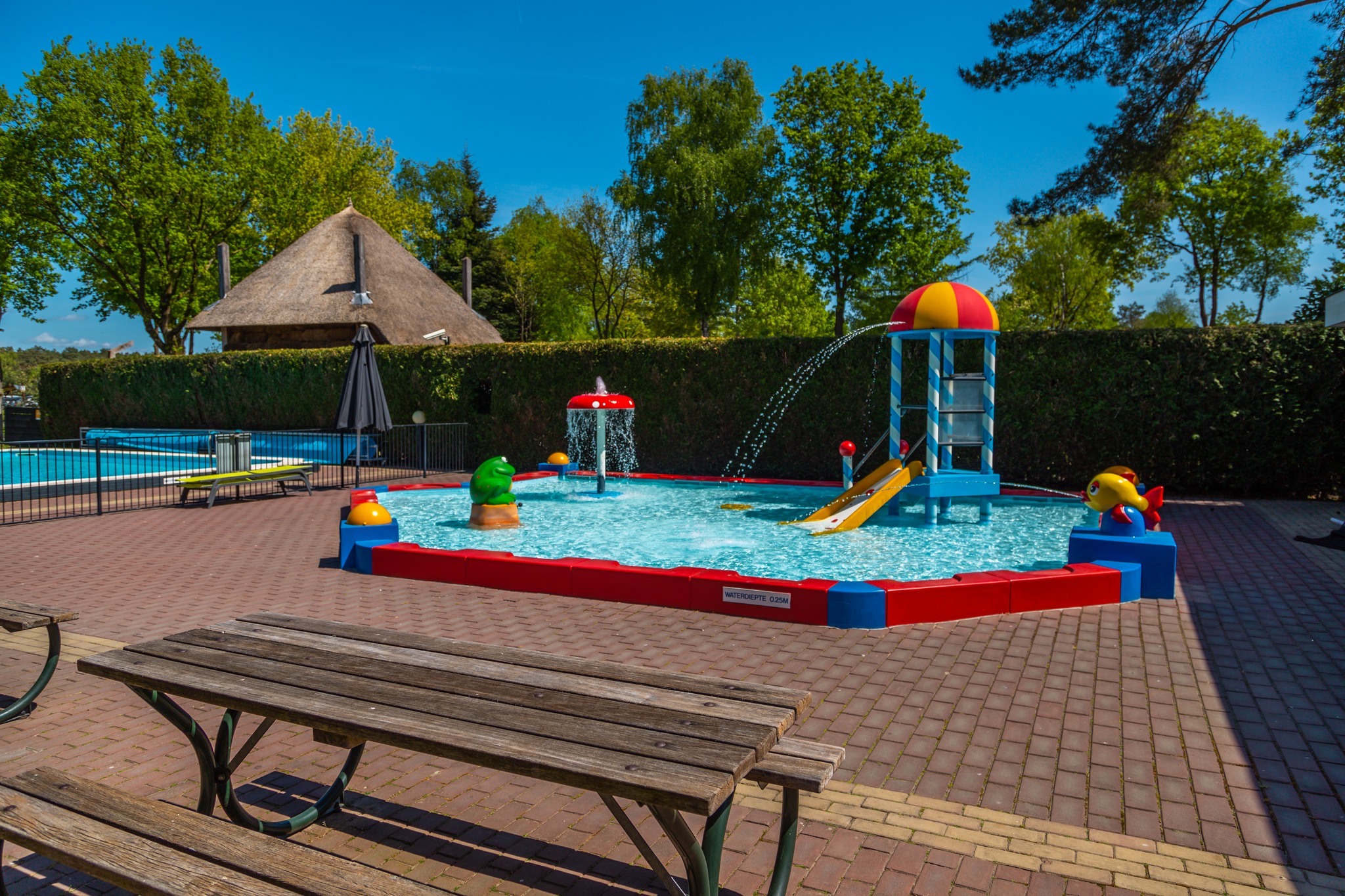 Pet-friendly lodge (4p) on the Veluwe