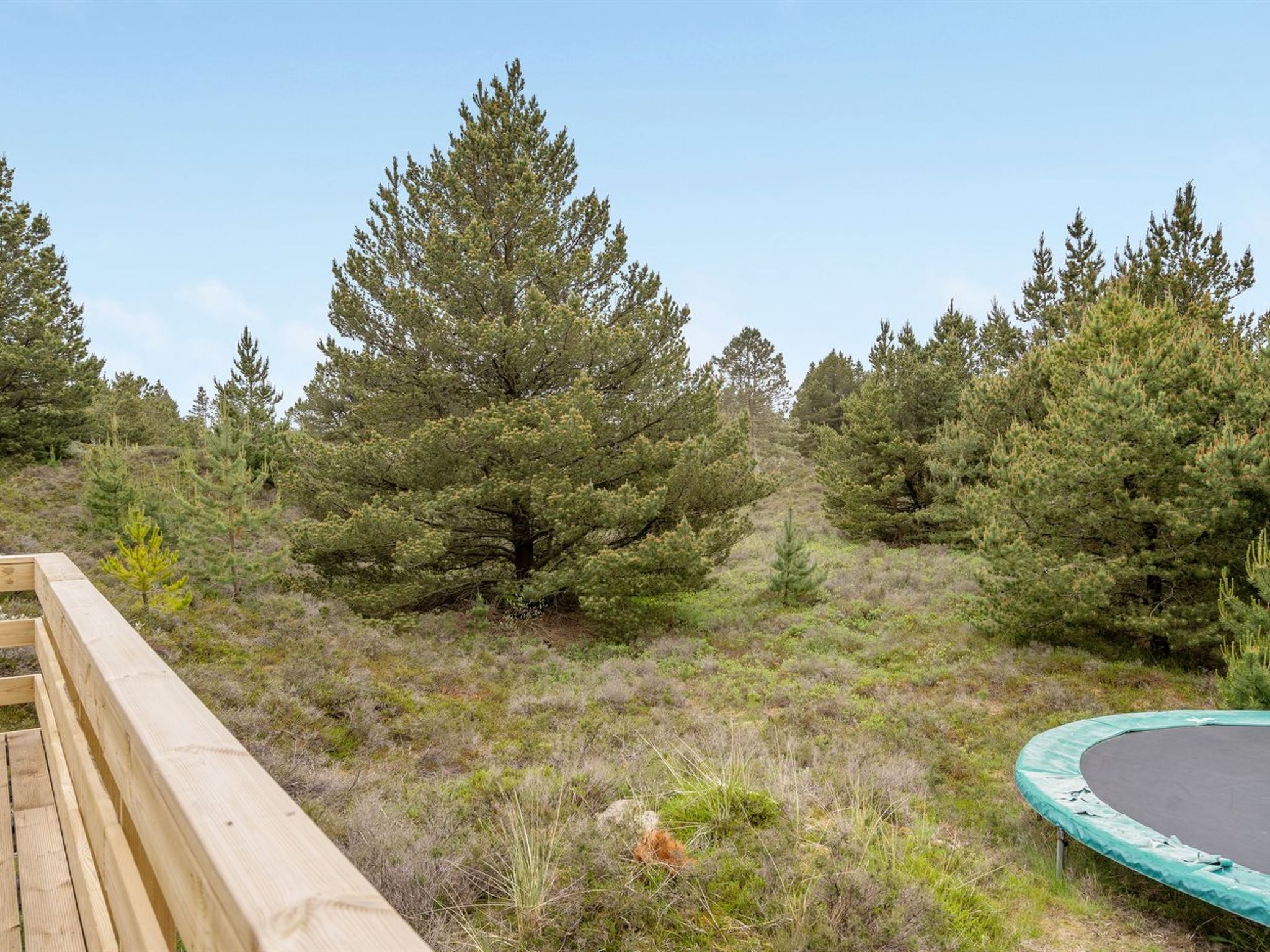 Gezellig huis met sauna nabij de kust