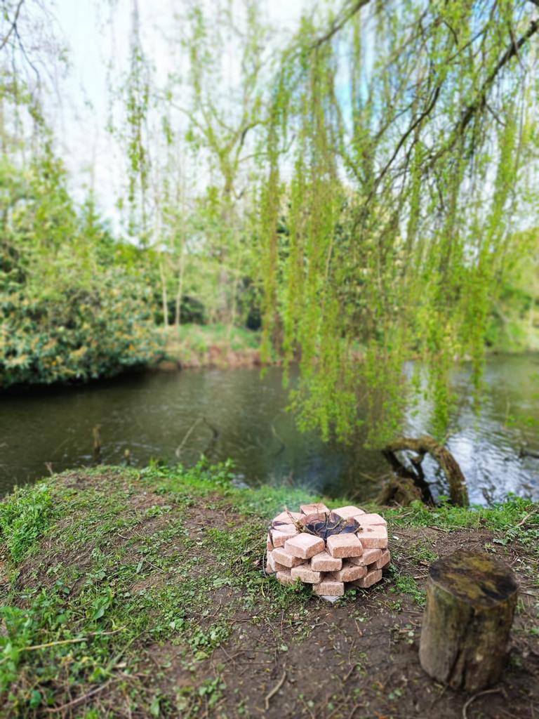 Außergewöhnliches Baumhaus direkt am Wasser