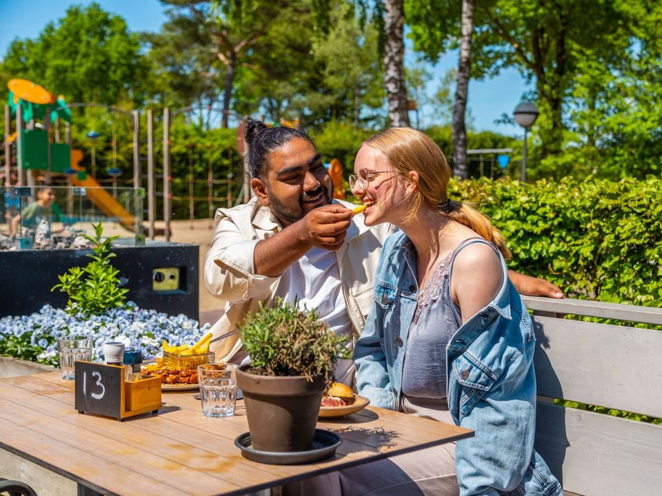 Pet-friendly lodge (4p) on the Veluwe
