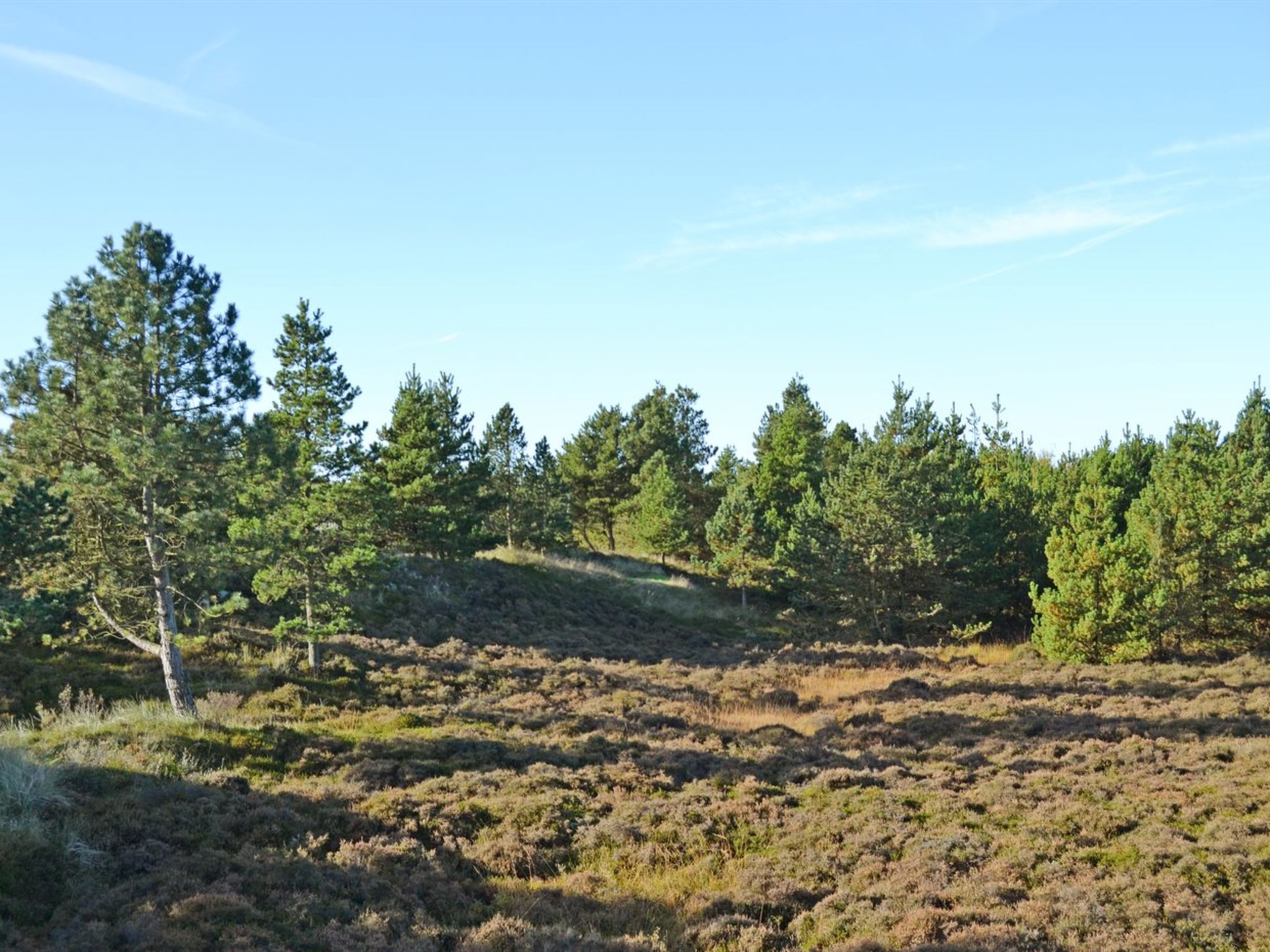 Gezellig huis met sauna nabij de kust