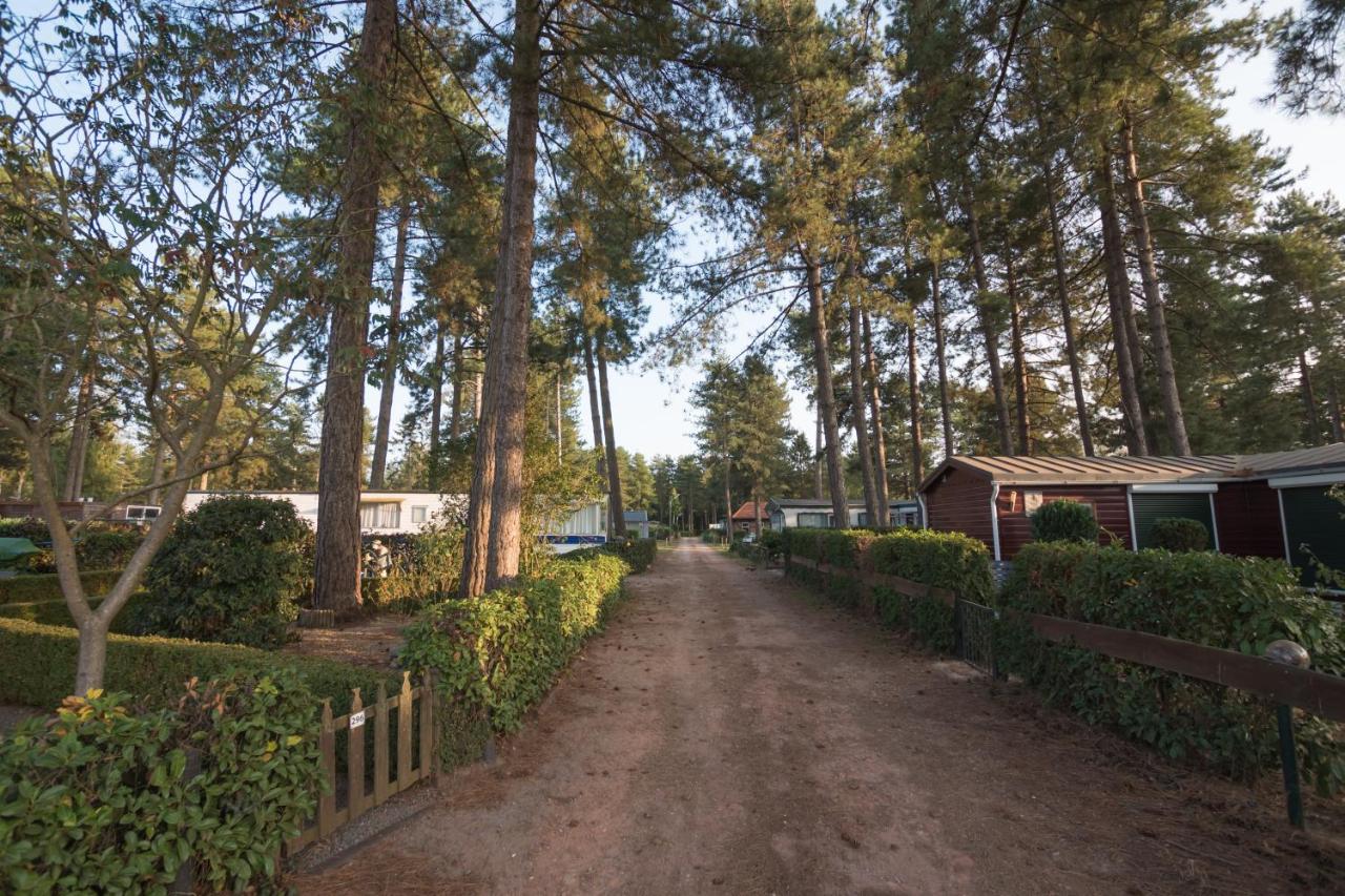 Comfortabel vakantiehuisje voor 6 personen
