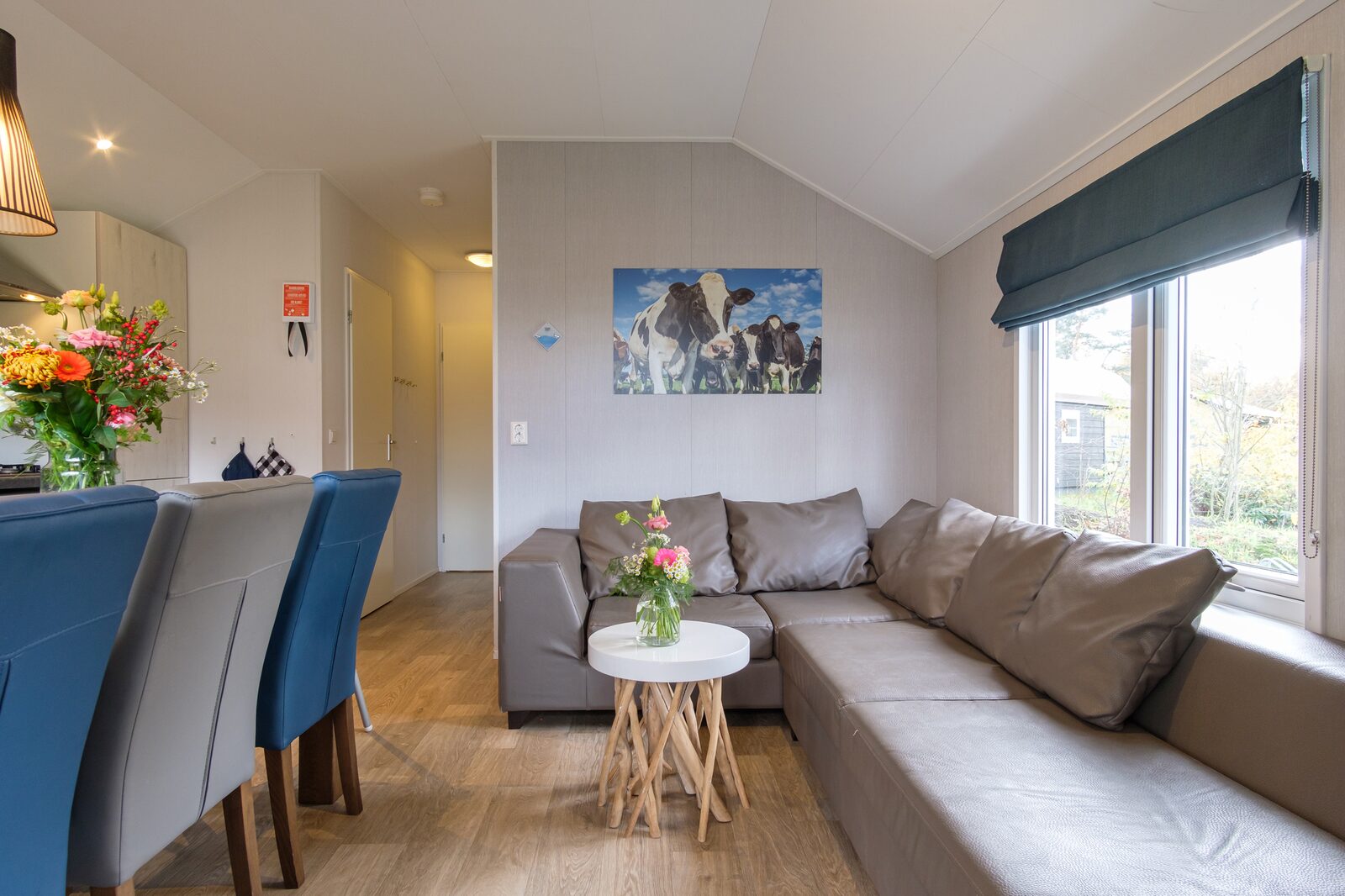 Cozy cottage (6p) on park in Overijssel