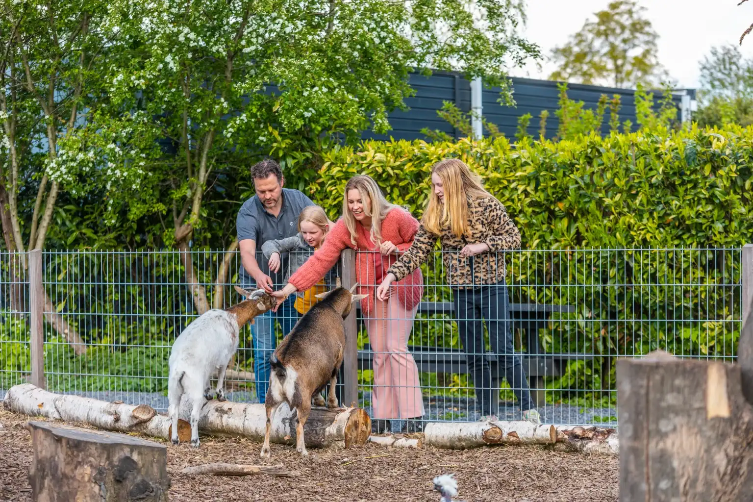 Vakantiehuis voor 6 personen met ruim terras